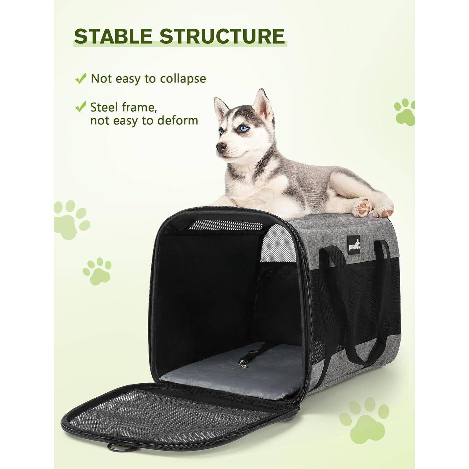 Hundetasche Faltbar Katzentransportbox Atmungsaktiv für Reisen Unter
