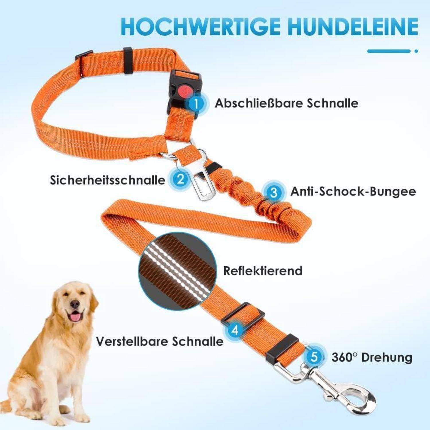 Orange Hundeleine mit Eigenschaften: abnehmbare und Sicherheitsschnallen, stoßdämpfendes Gummiband, verstellbar, reflektierend, 360° drehbarer Karabiner.