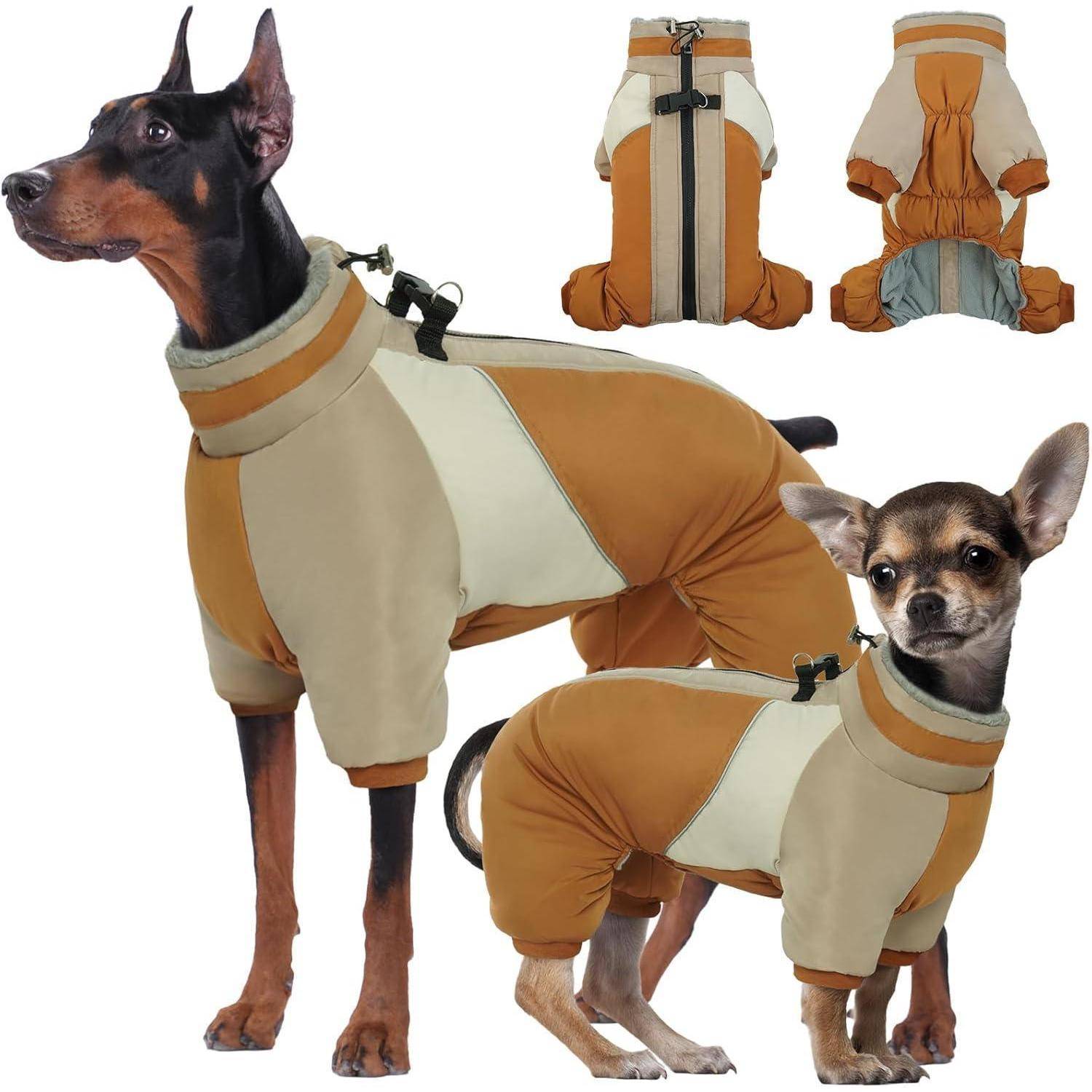 Zwei Hunde, ein Dobermann und ein Chihuahua, tragen übereinstimmende braun-beige Bodys, stehen selbstbewusst; zwei Nahaufnahmen der Anzüge oben.