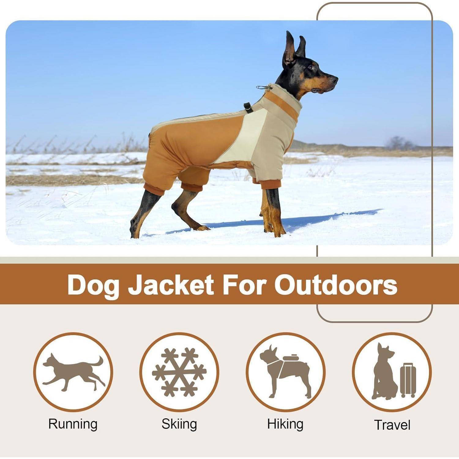 Ein Hund mit einer braun-beigen Jacke steht auf Schnee. Darunter Symbole mit Text: 'Laufen', 'Skifahren', 'Wandern', 'Reisen'.