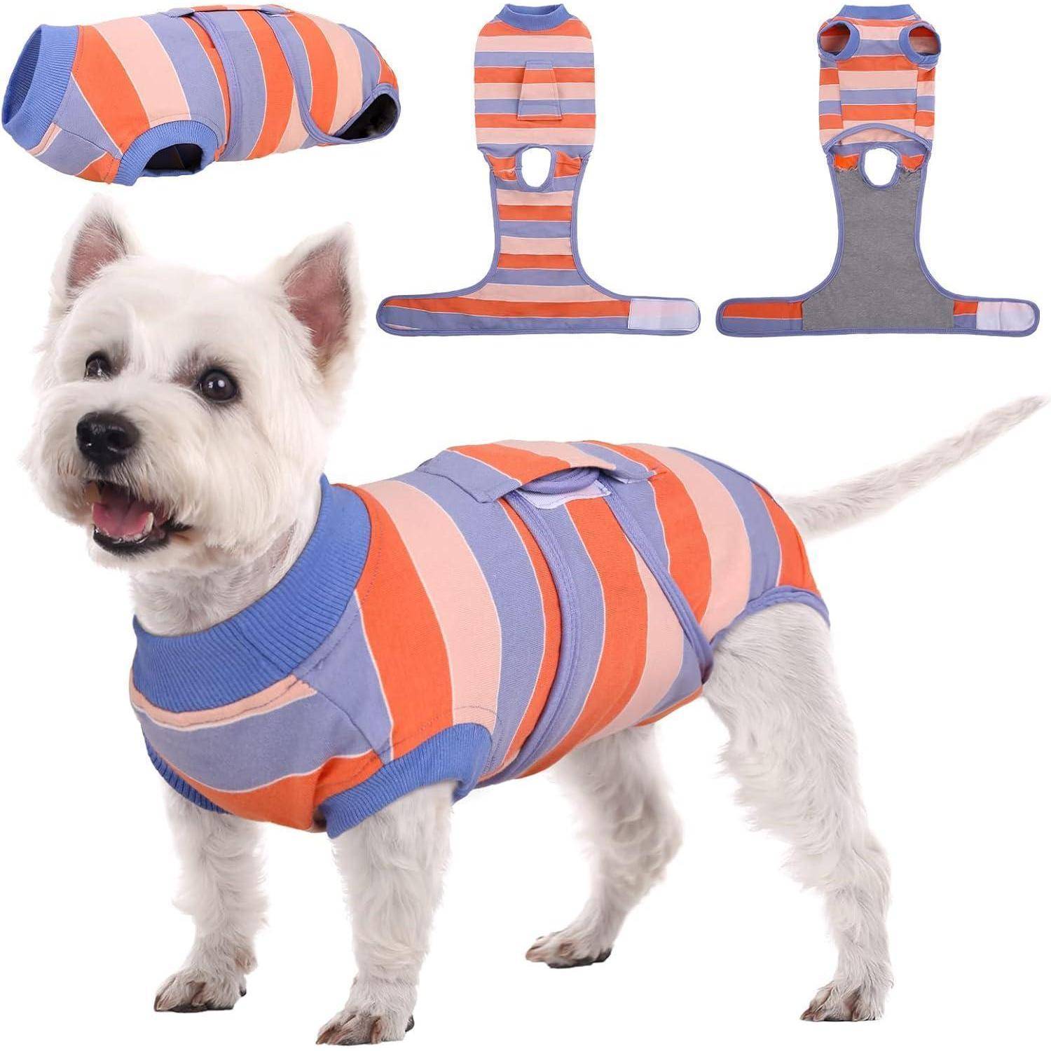 Ein kleiner weißer Hund, der einen bunten gestreiften Pullover trägt. Darüber zeigen Illustrationen den Schnitt des Pullovers in Vorder-, Seiten- und Aufsicht.