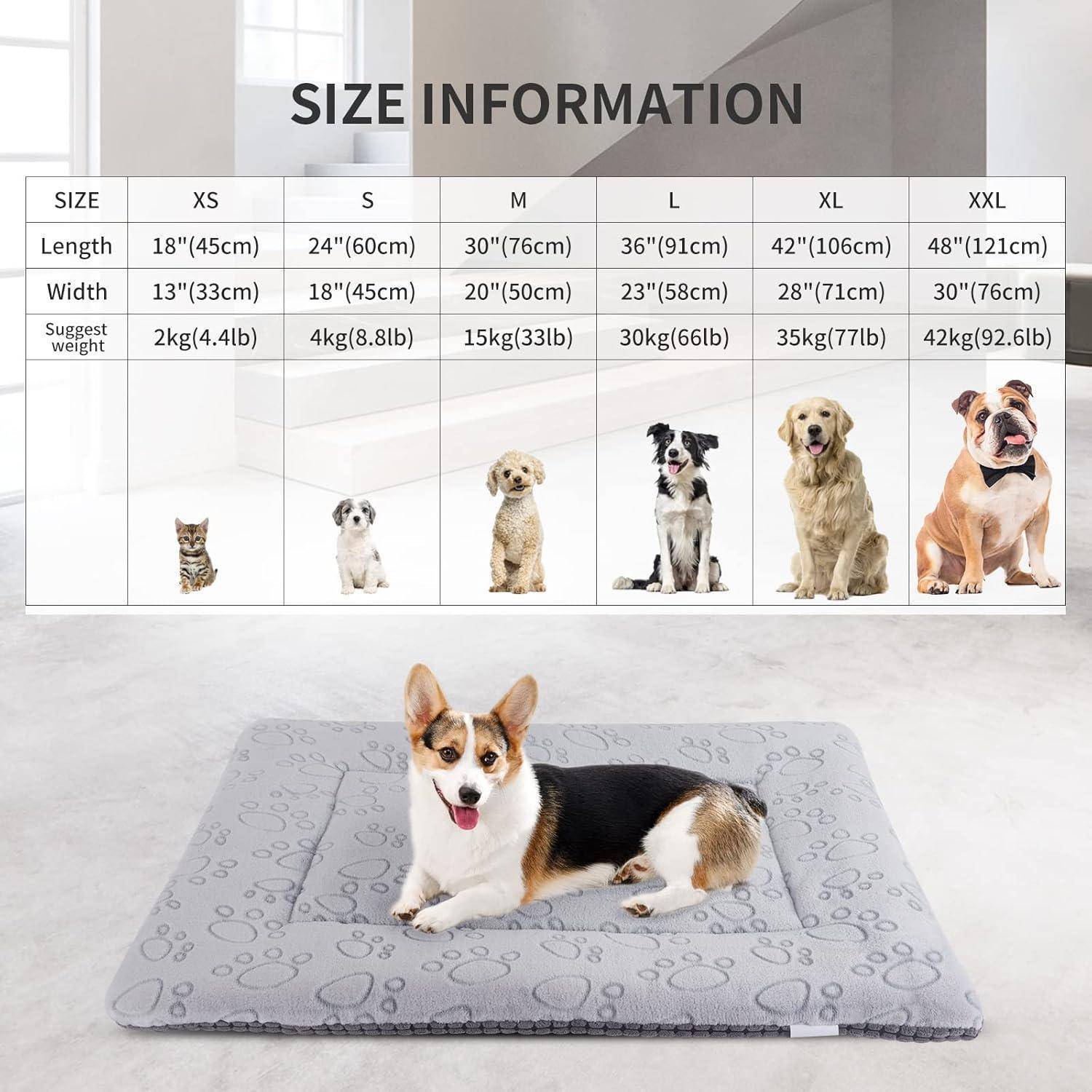 Die Abbildung zeigt eine Größentabelle für Tierbesitzkörbe, mit sieben Tierbildern von einer Katze bis zu einem großen Hund, die Größenoptionen von XS bis XXL angeben. Ein Corgi liegt auf einem mittelgroßen Tierbett.