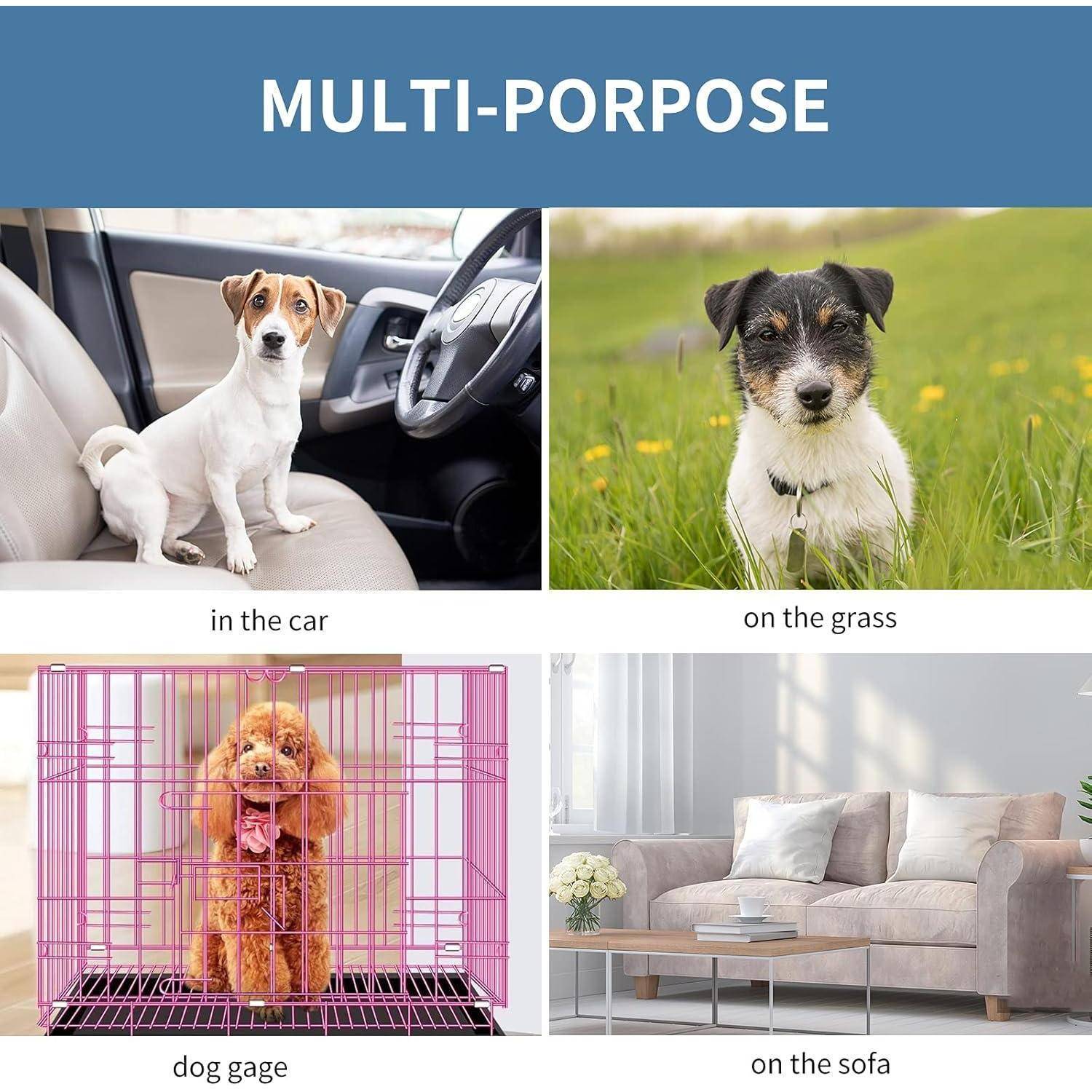 Mehrzweck-Bild, das einen Hund in verschiedenen Umgebungen zeigt: im Auto, auf Gras, in einem Hundekäfig und auf einem Sofa, was die Vielseitigkeit von Hunden in unterschiedlichen Lebenssituationen veranschaulicht.