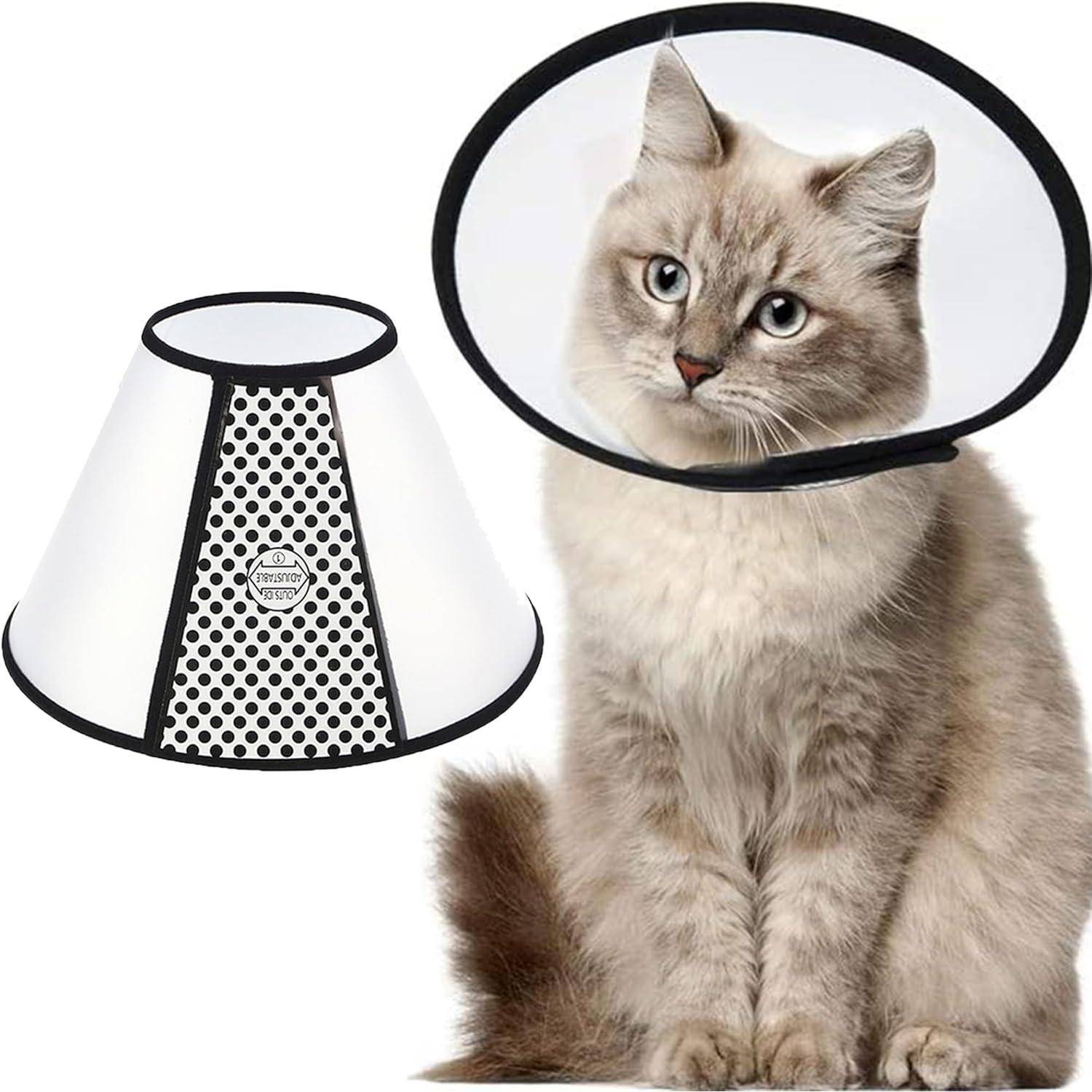 Eine Katze mit einer Plastikkegel um den Hals sitzt aufrecht. Ein zweites Bild zeigt denselben Kegel mit Belüftungslöchern.