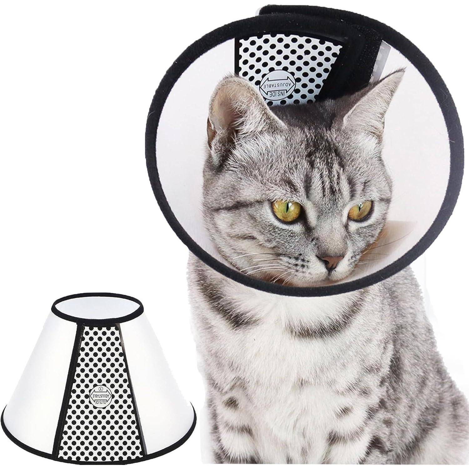 Eine graue Tabbykatze mit einer Plastikhalskrause um den Hals, die wahrscheinlich von einem medizinischen Eingriff genest. Die Halskrause ist mit einem Etikett versehen.