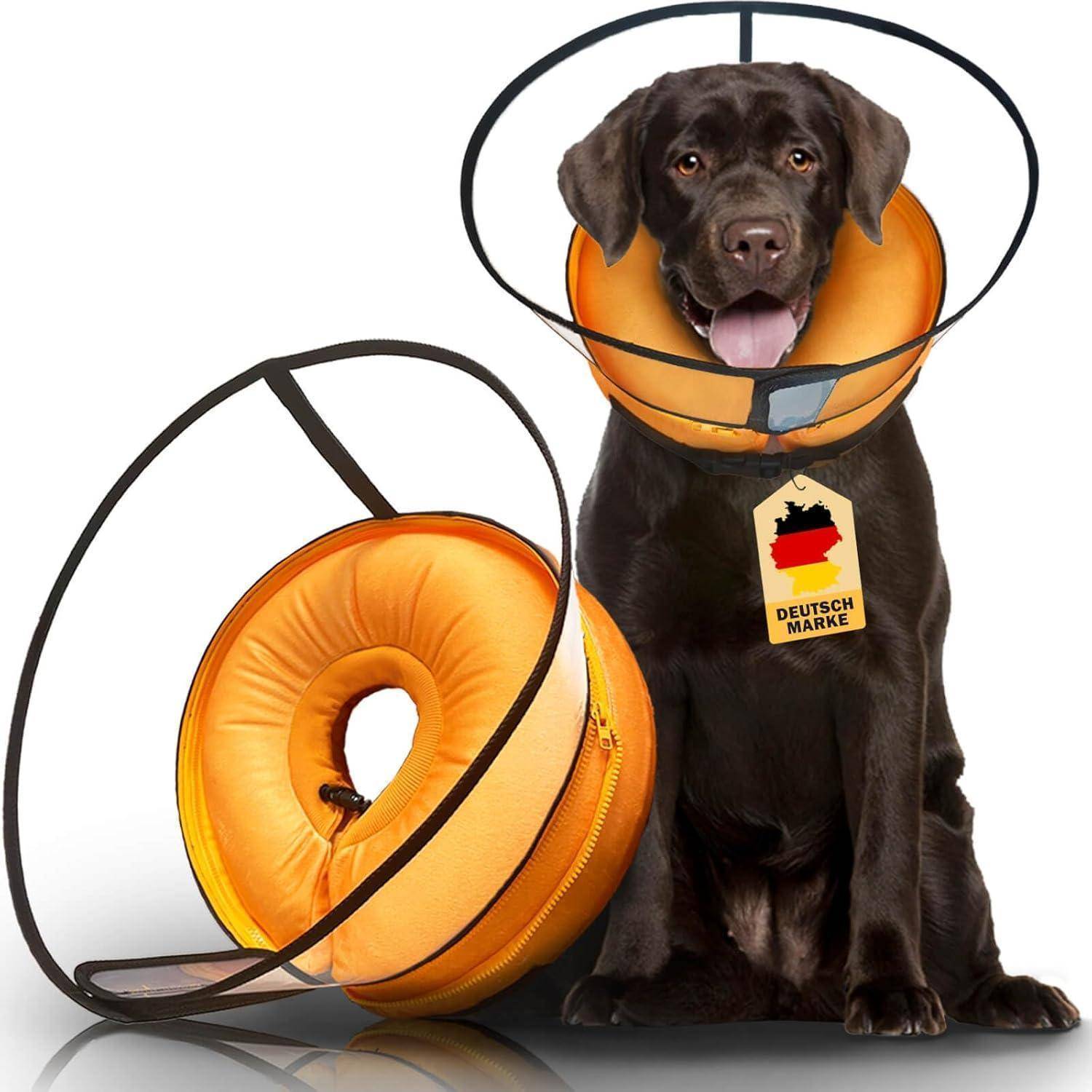 Ein Hund, der einen orangefarbenen Schutz-Halskragen trägt, sitzt neben einem identischen Kragen. An dem Kragen befindet sich ein Etikett mit der Aufschrift 