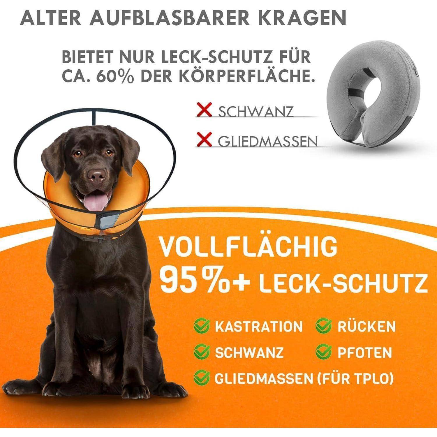 Ein Hund, der einen orangefarbenen aufblasbaren Kragen trägt. Der Kragen bietet 95% Schutz im Vergleich zu einer traditionellen Halskrause. Der Text hebt den Schutz bestimmter Körperteile nach einer Operation hervor.