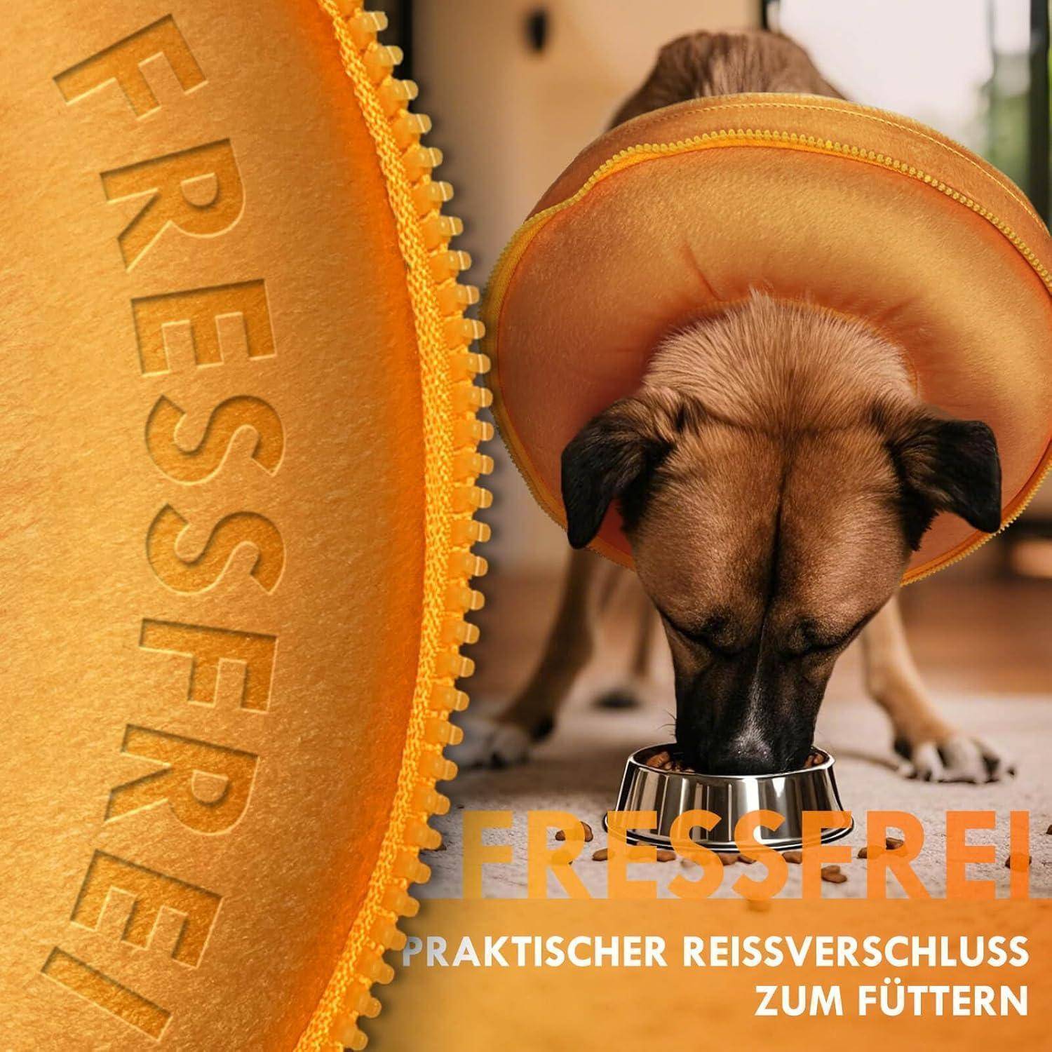 Ein Hund, der aus einer Futternäpfchen frisst, mit dem Text 