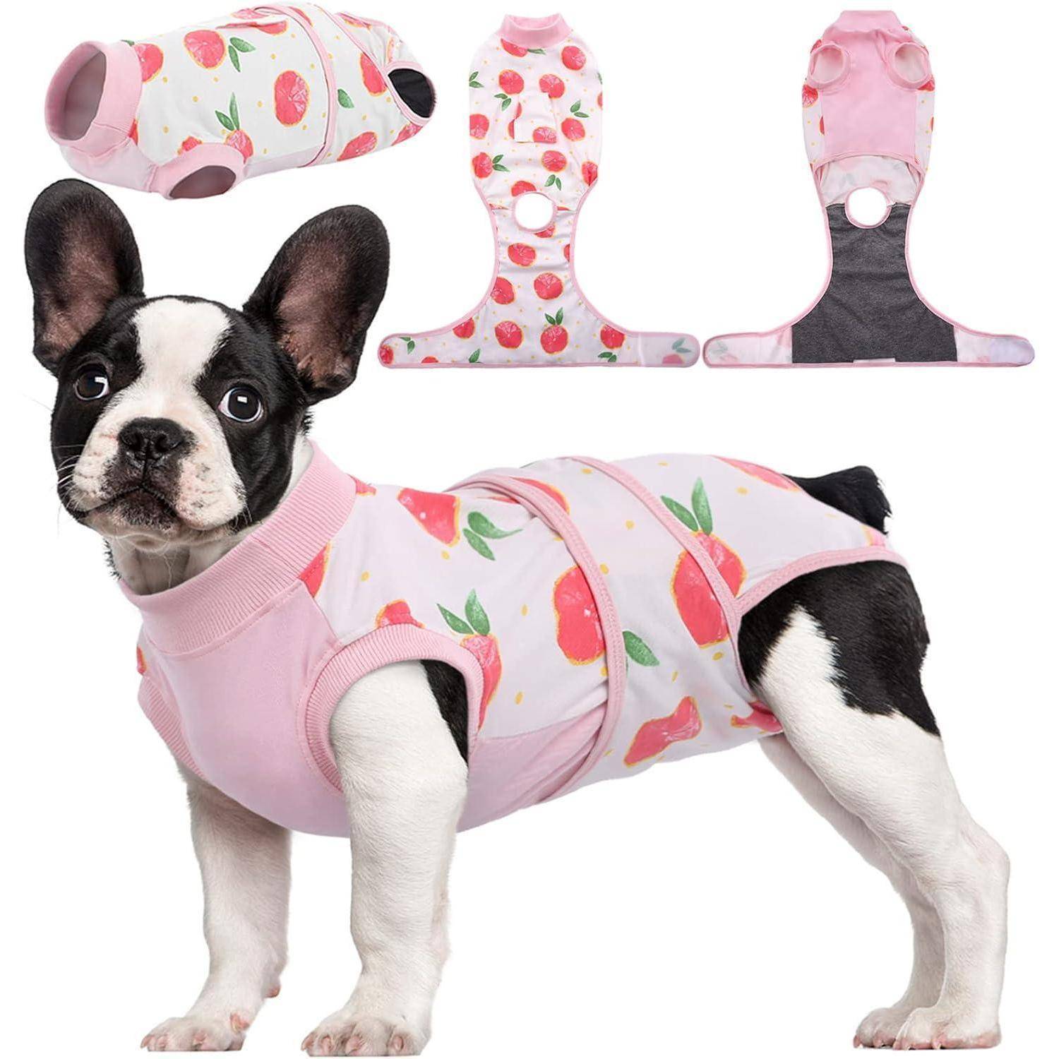 Hundebody Nach Op Leckschutz Kastration Rüde S (1er Pack) Rosa Orangen