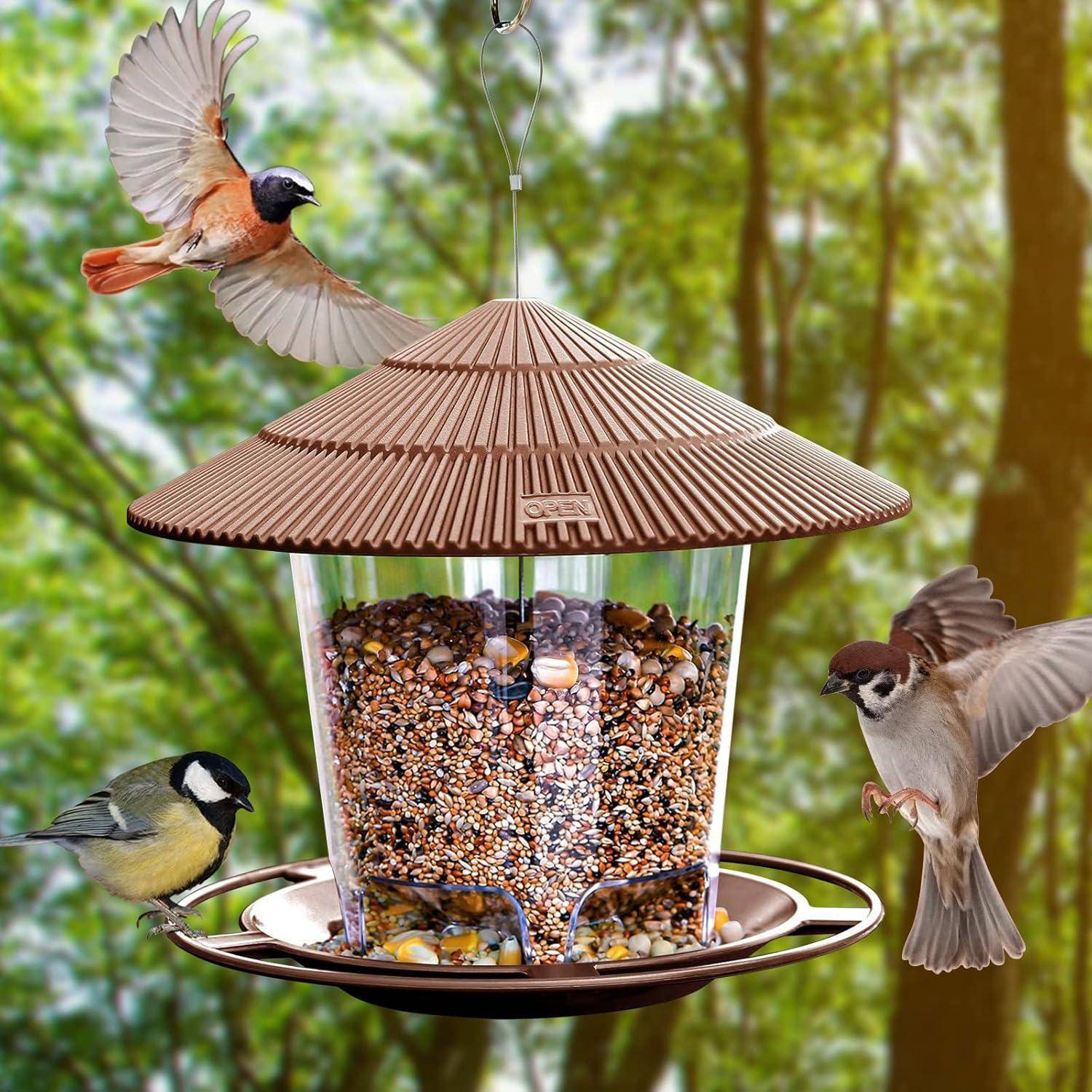 Drei Vögel, darunter ein Fink und ein Spatz, fressen an einem hängenden Vogelfutterhäuschen, das mit gemischten Samen gefüllt ist, in einem bewaldeten Gebiet.