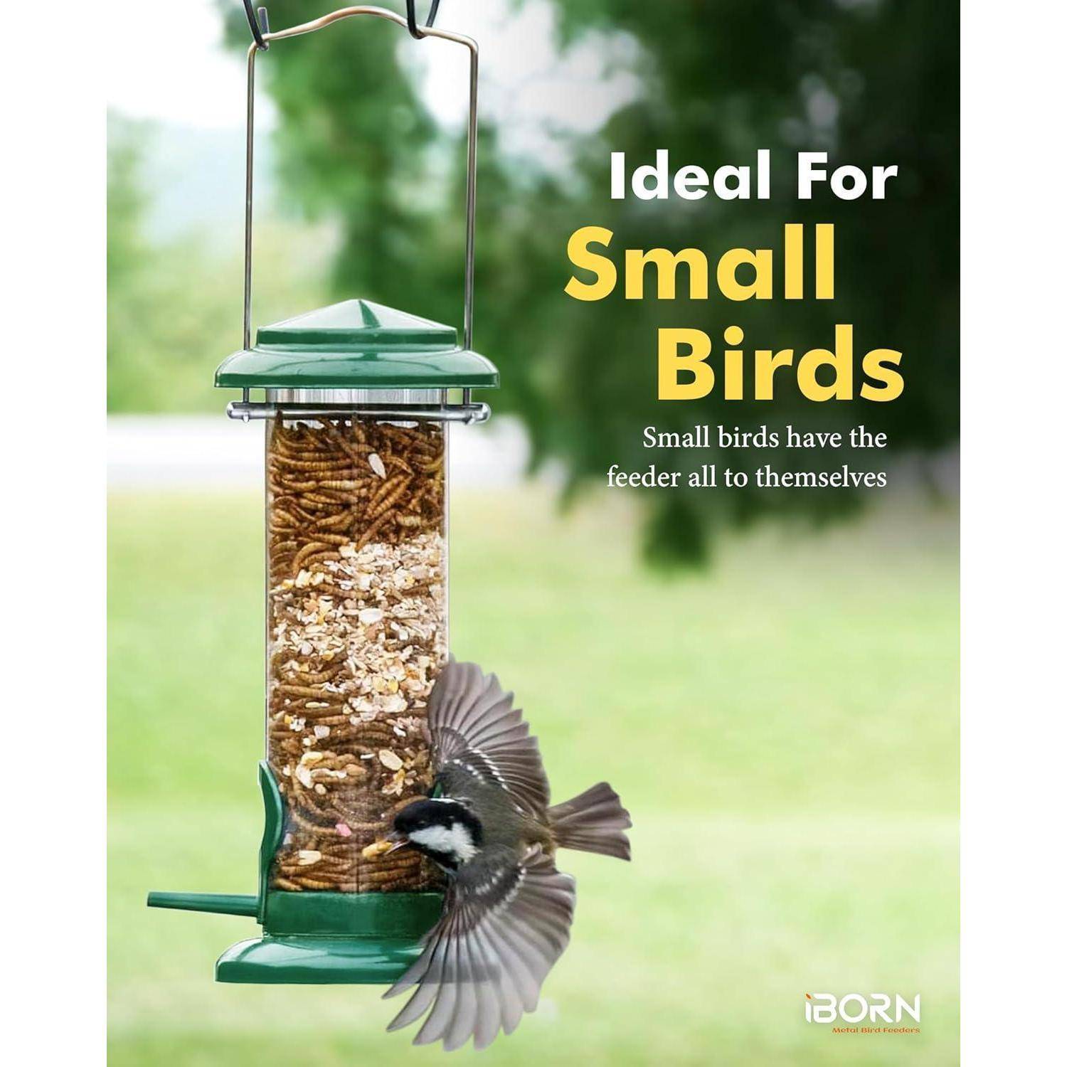 Ein kleiner Vogel nähert sich einem grünen hängenden Vogelfutterspender, gefüllt mit Samen und Mehlwürmern. Text lautet: 'Ideal für kleine Vögel: Kleine Vögel haben den Futterautomaten ganz für sich allein.