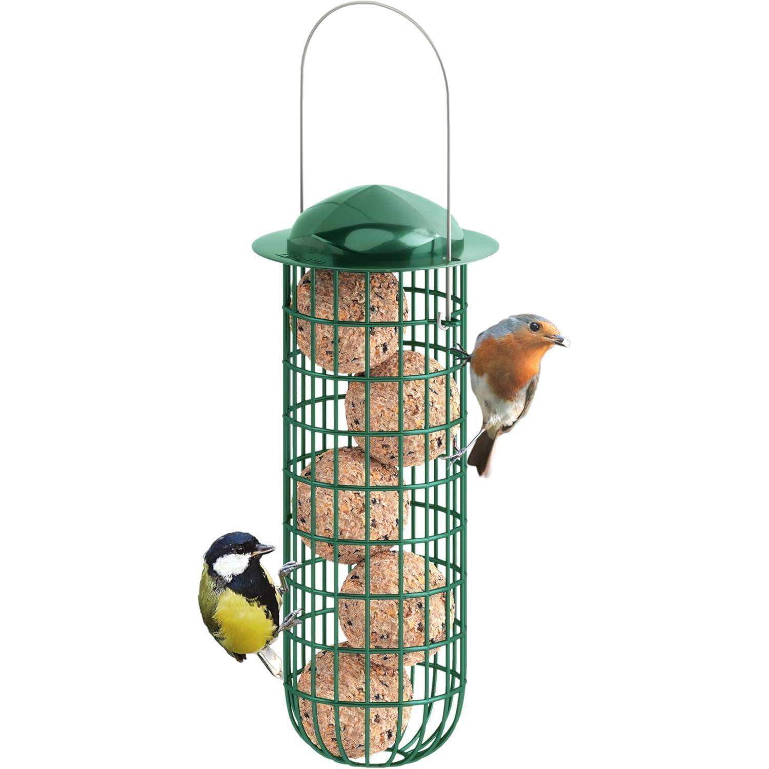 Eine Draht-Vogelfütterung hält Suetbälle. Ein Rotkehlchen und eine Kohlmeise sitzen darauf, was auf eine natürliche Umgebung hindeutet.