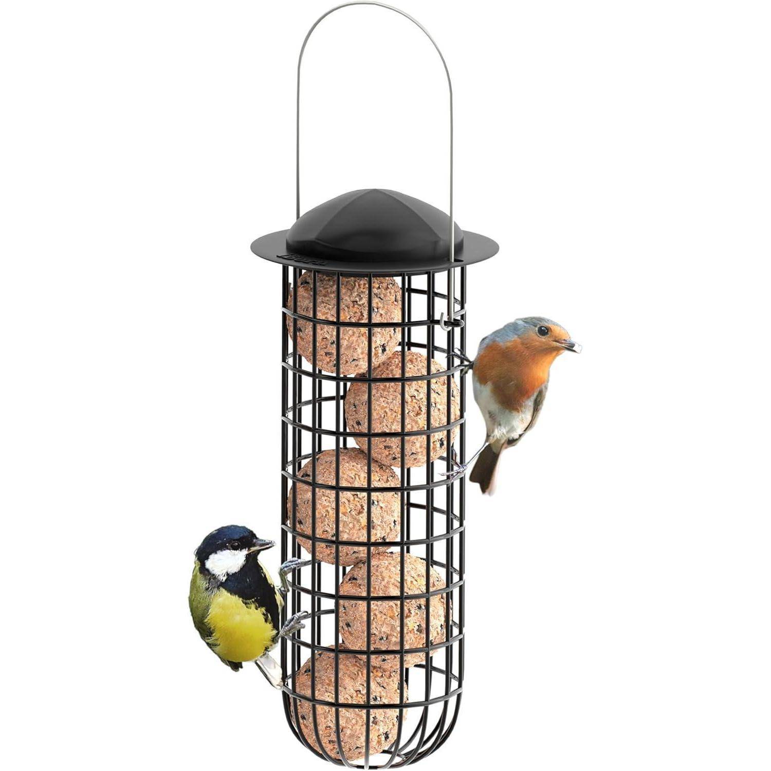 Ein schwarzer Metallkäfig-Vogelfutterspender mit Suetbällen, besucht von einer Blaumeise und einem Rotkehlchen, das seitlich darauf sitzt.