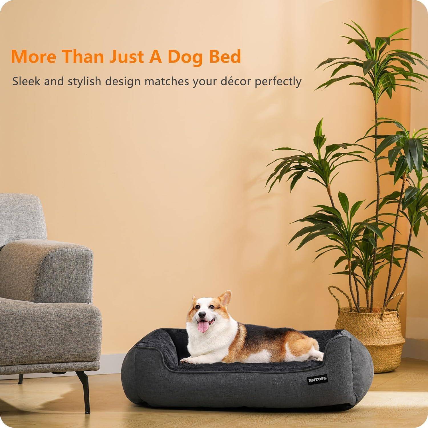 Ein Corgi liegt auf einem plüschigen Hundebett in einem stilvollen Raum mit einer Pflanze und einem Sofa. Text an der Wand liest: 
