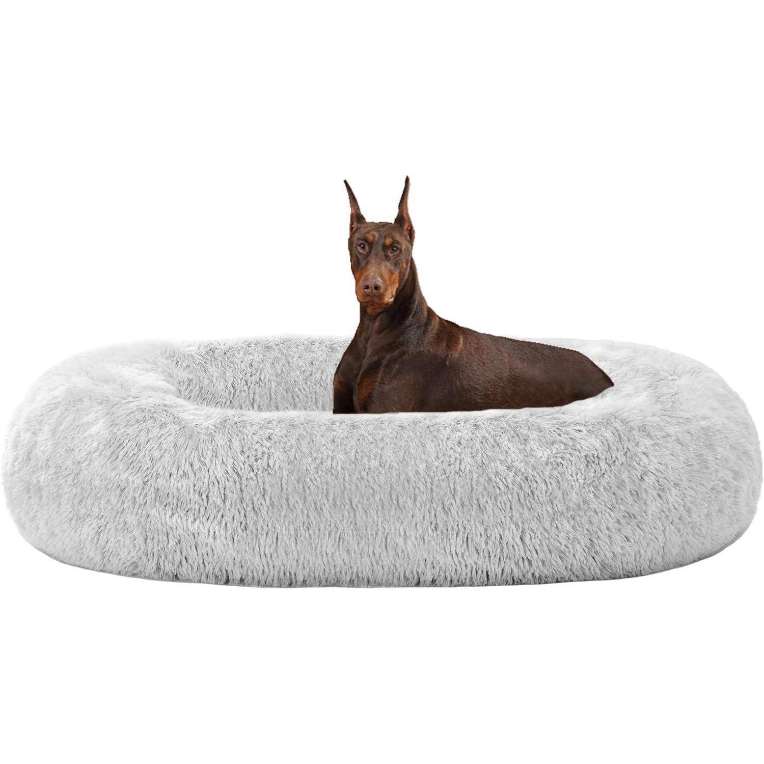 Ein Dobermann sitzt in einem großen, runden, flauschigen grauen Haustierkörbchen. Die Ohren des Hundes sind spitz, und das Bett sieht weich und gemütlich aus.