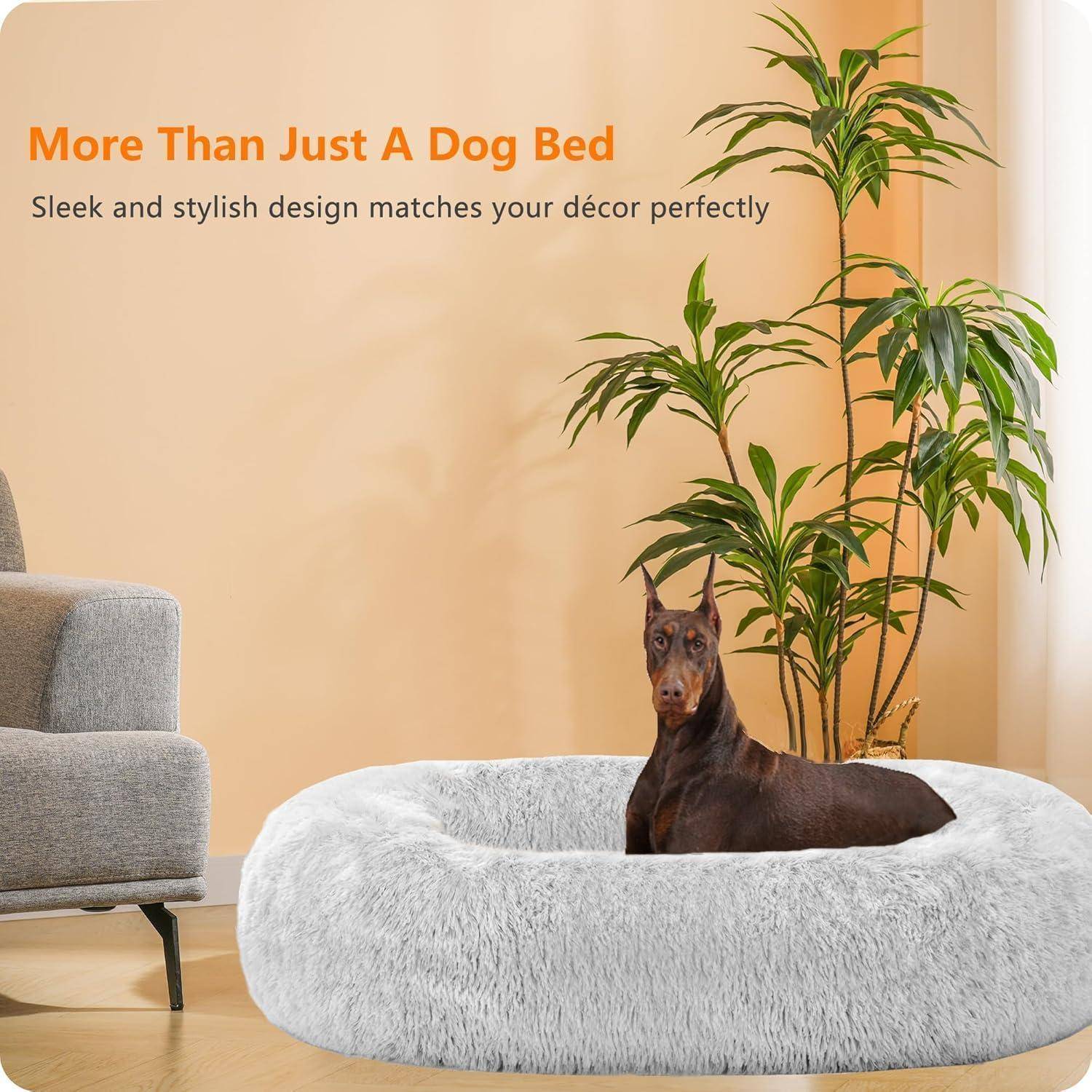 Ein kleiner Hund sitzt auf einem großen, plüschigen Hundebett in einem Wohnzimmer, umgeben von einer stilvollen Pflanze und Möbeln. Text lautet: 