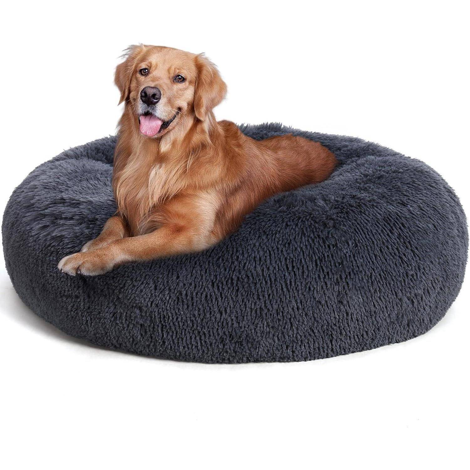 Ein Golden Retriever, der sich behaglich auf einem großen, runden, flauschigen grauen Hundebett ausruht und zufrieden und entspannt aussieht.