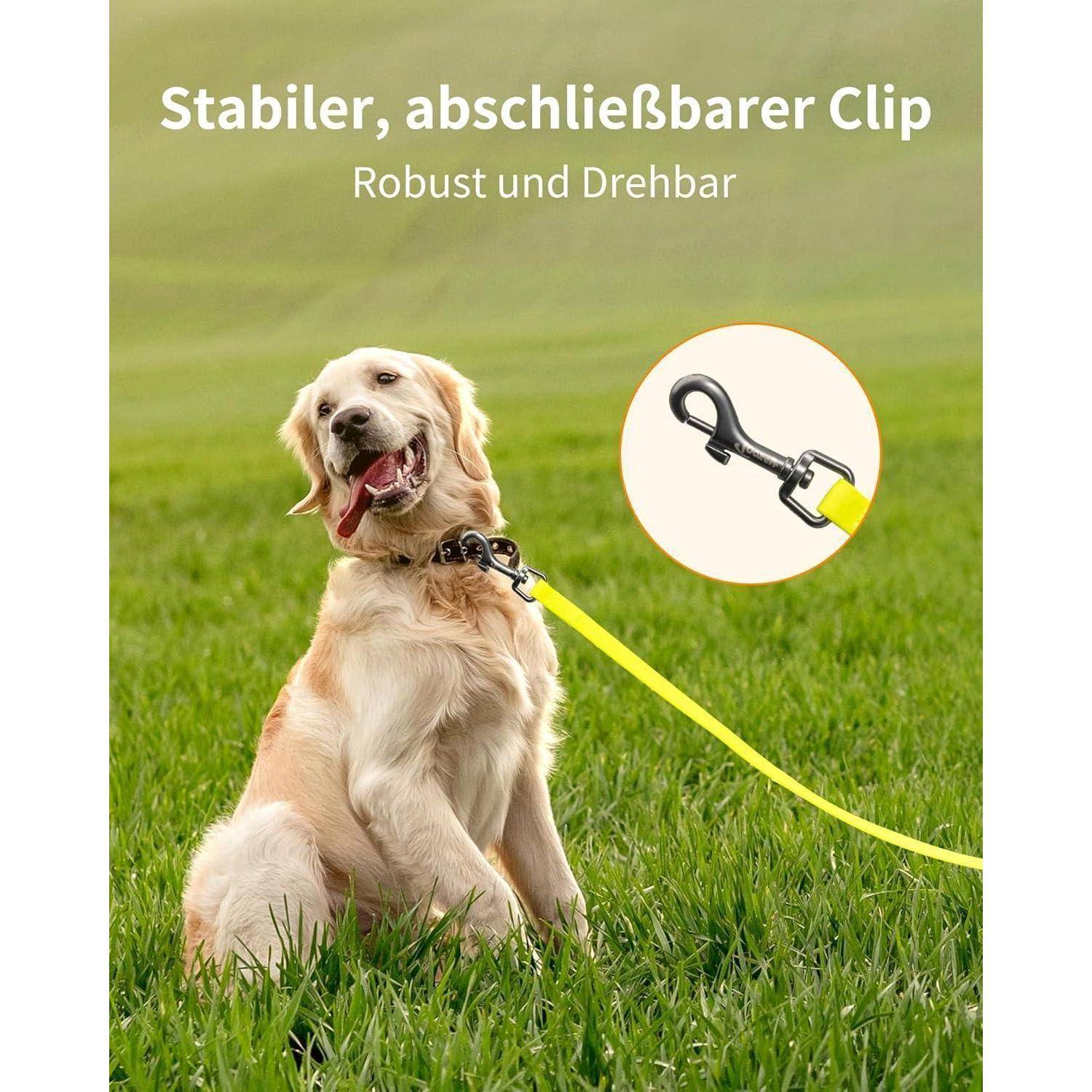 Ein Golden Retriever sitzt auf Gras, angebunden an einer gelben Leine mit einer robusten Karabinerhaken. Der Text auf Deutsch beschreibt den Haken als robust und drehbar.