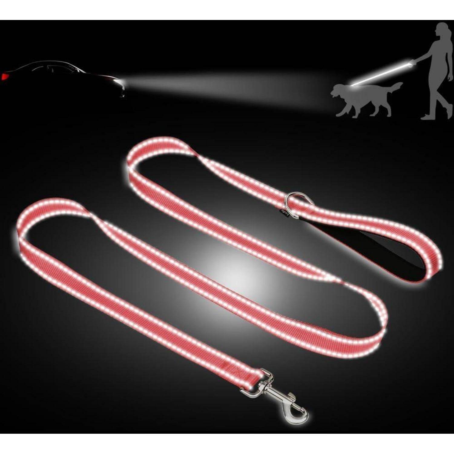 Leuchtend rote Hundeleine im Dunkeln, hervorgehoben zur Verbesserung der Sichtbarkeit bei Nacht. Silhouette einer Person, die einen Hund unter einer Straßenlaterne ausführt.