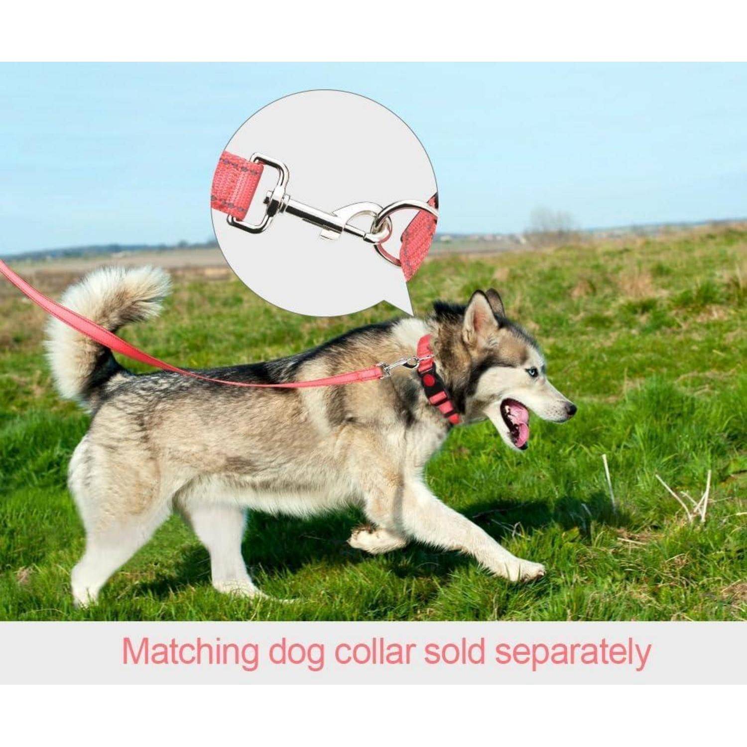 Ein Hund an der Leine geht schwungvoll über ein Feld. Einschub zeigt eine Nahaufnahme des Leinen-Clips. Text lautet: „Passendes Hundehalsband separat erhältlich