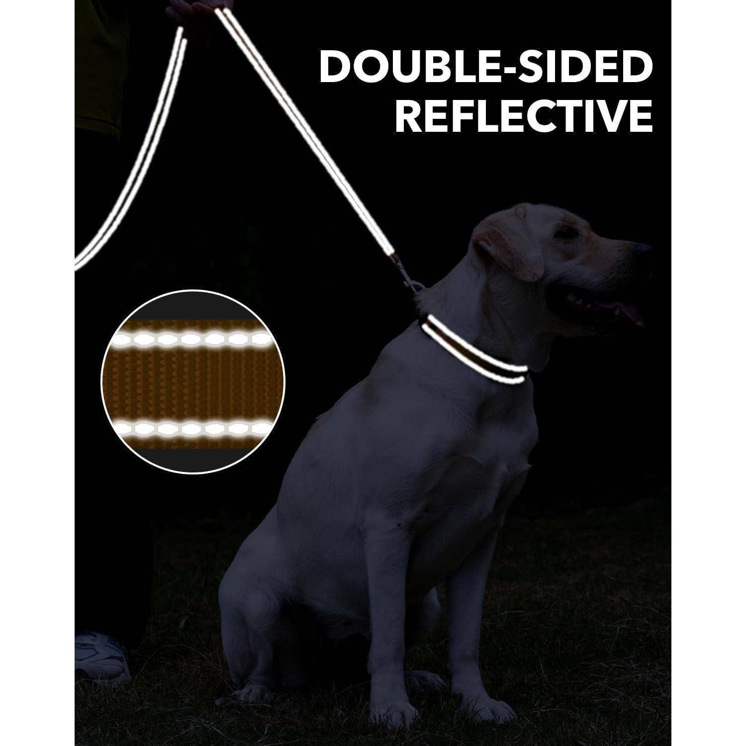 Ein Hund sitzt, der ein Halsband mit einer beidseitig reflektierenden Leine trägt. Der Text liest sich 