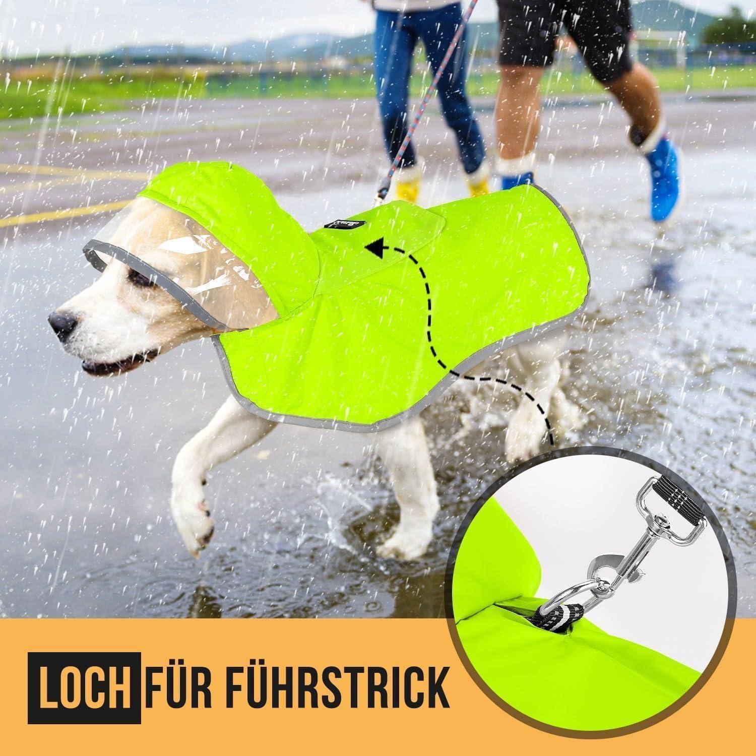 Ein Hund geht durch den Regen in einem hellgrünen Regenmantel mit Kapuze. Der Text lautet „Loch für Führstrick
