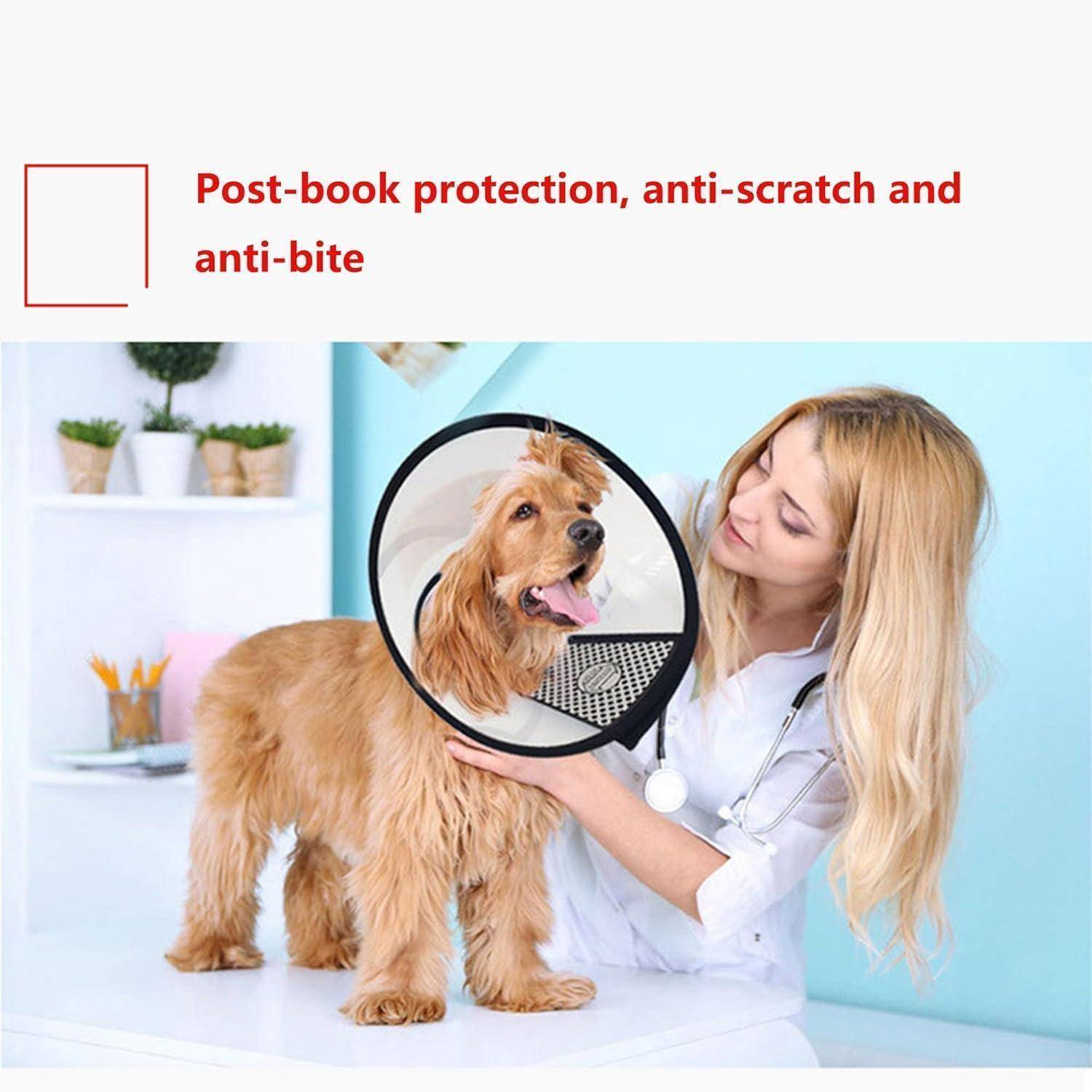 Ein Tierarzt lächelt, während er einen Hund mit einem Schutzkegel hält, der Nachsorgeschutz, Anti-Kratzer- und Anti-Beiß-Maßnahmen signalisiert.