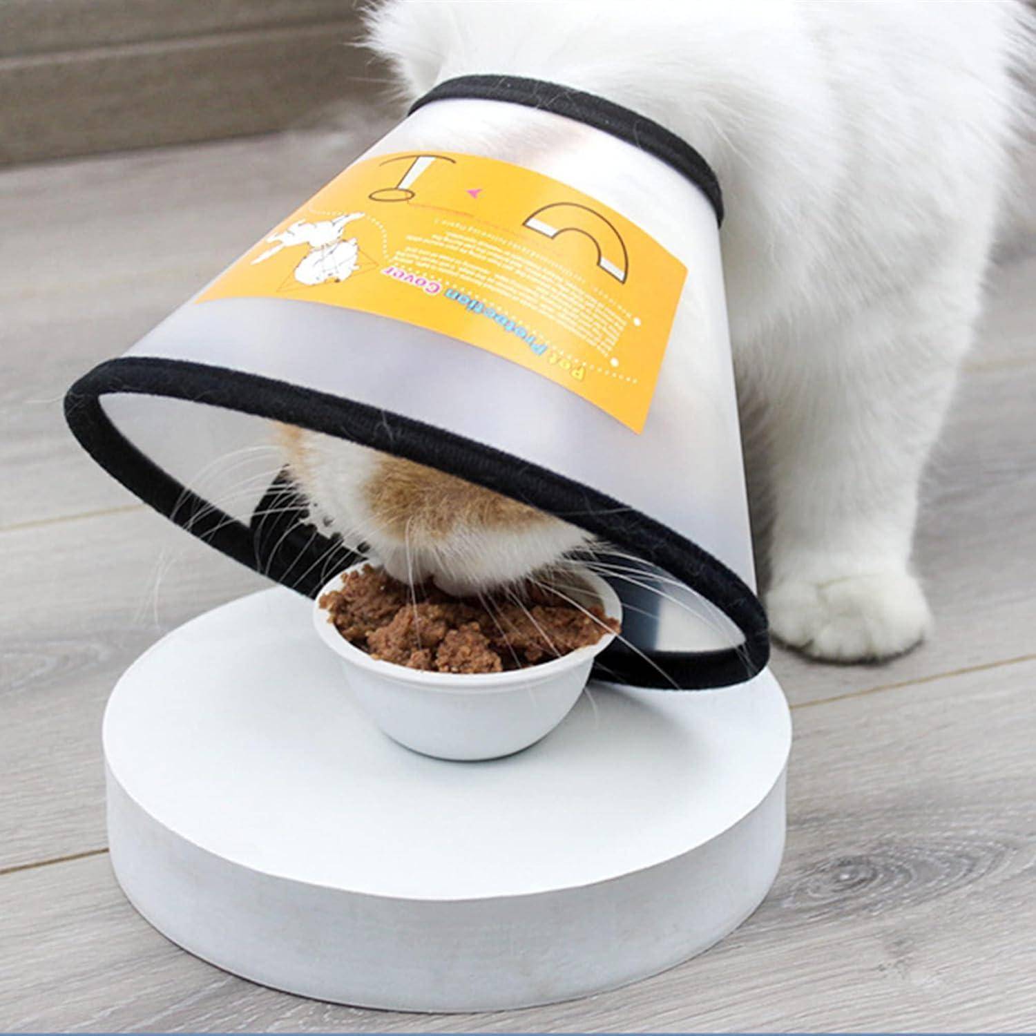 Eine Katze mit einem Halskragen frisst aus einer Schüssel, die speziell so gestaltet ist, dass sie in den Kragen passt, und steht dabei auf einem hellen Holzboden.