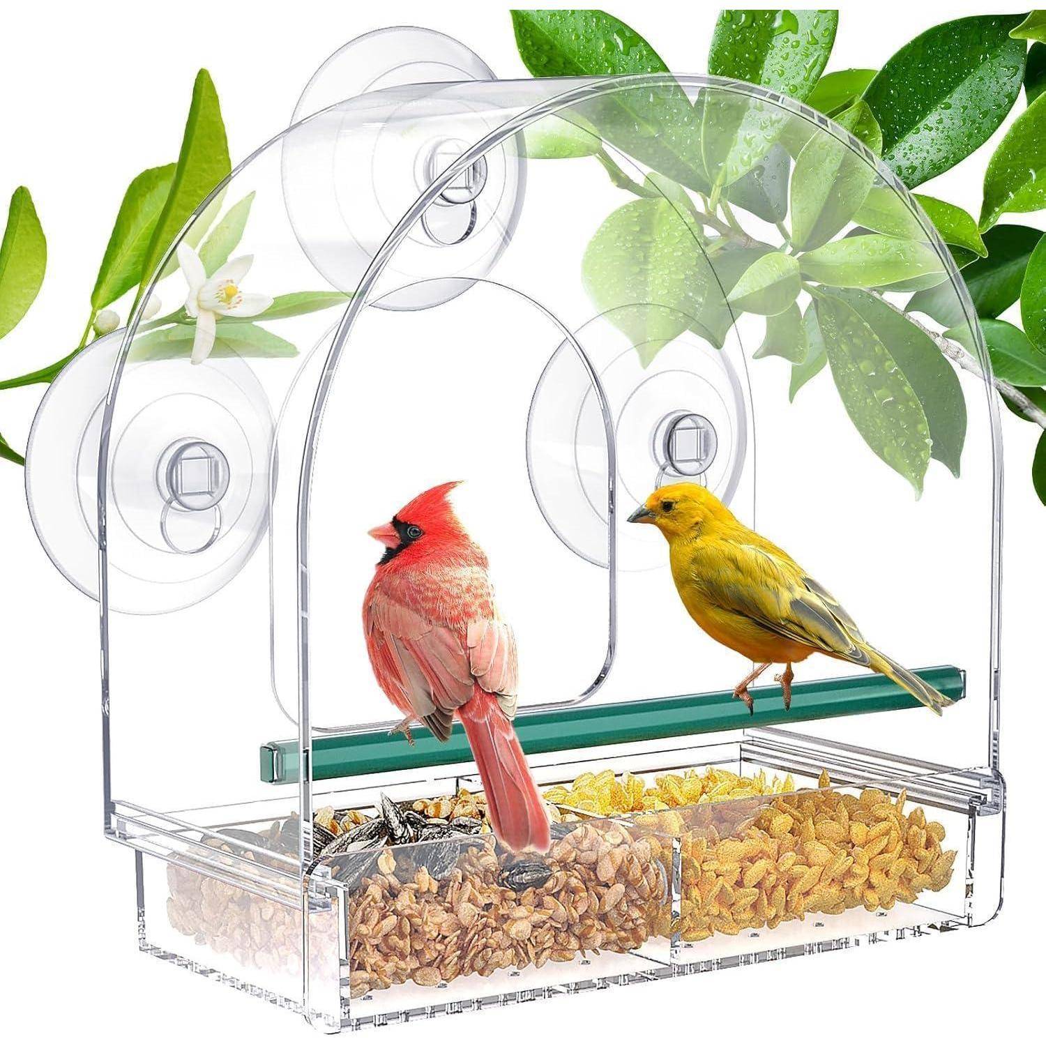 Futterhaus Fenster Transparent Saugnäpfe Wildvögel Glockenförmig