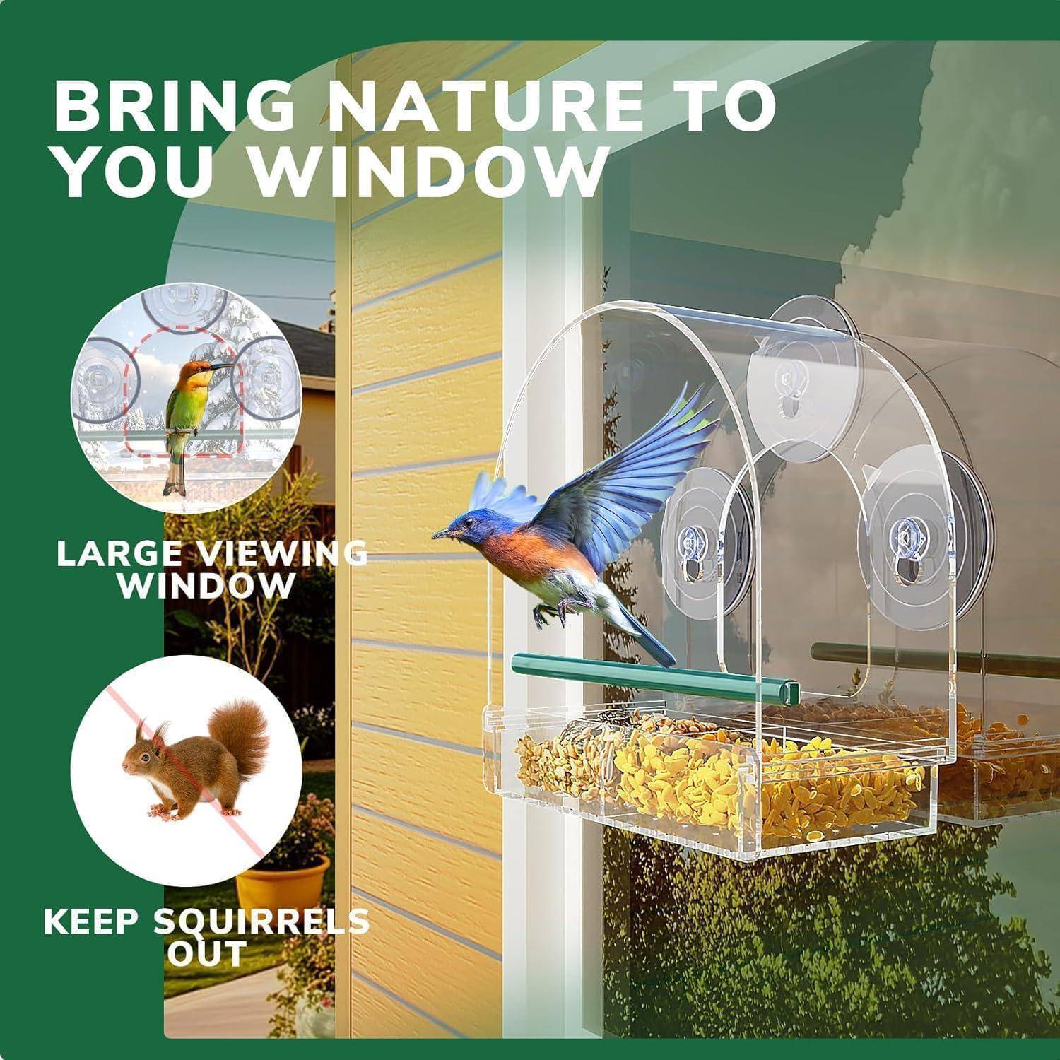 Futterhaus Fenster Transparent Saugnäpfe Wildvögel Glockenförmig