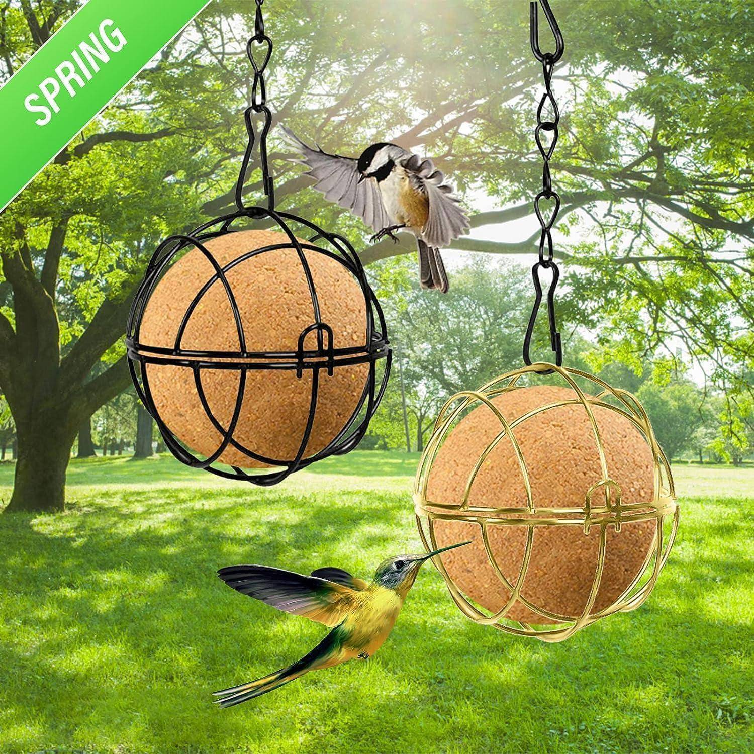 Zwei Vögel fressen aus kugelförmigen Vogelfutterständern, die von einem Baumast in einem sonnigen Park hängen, der auf einem grünen Banner als 