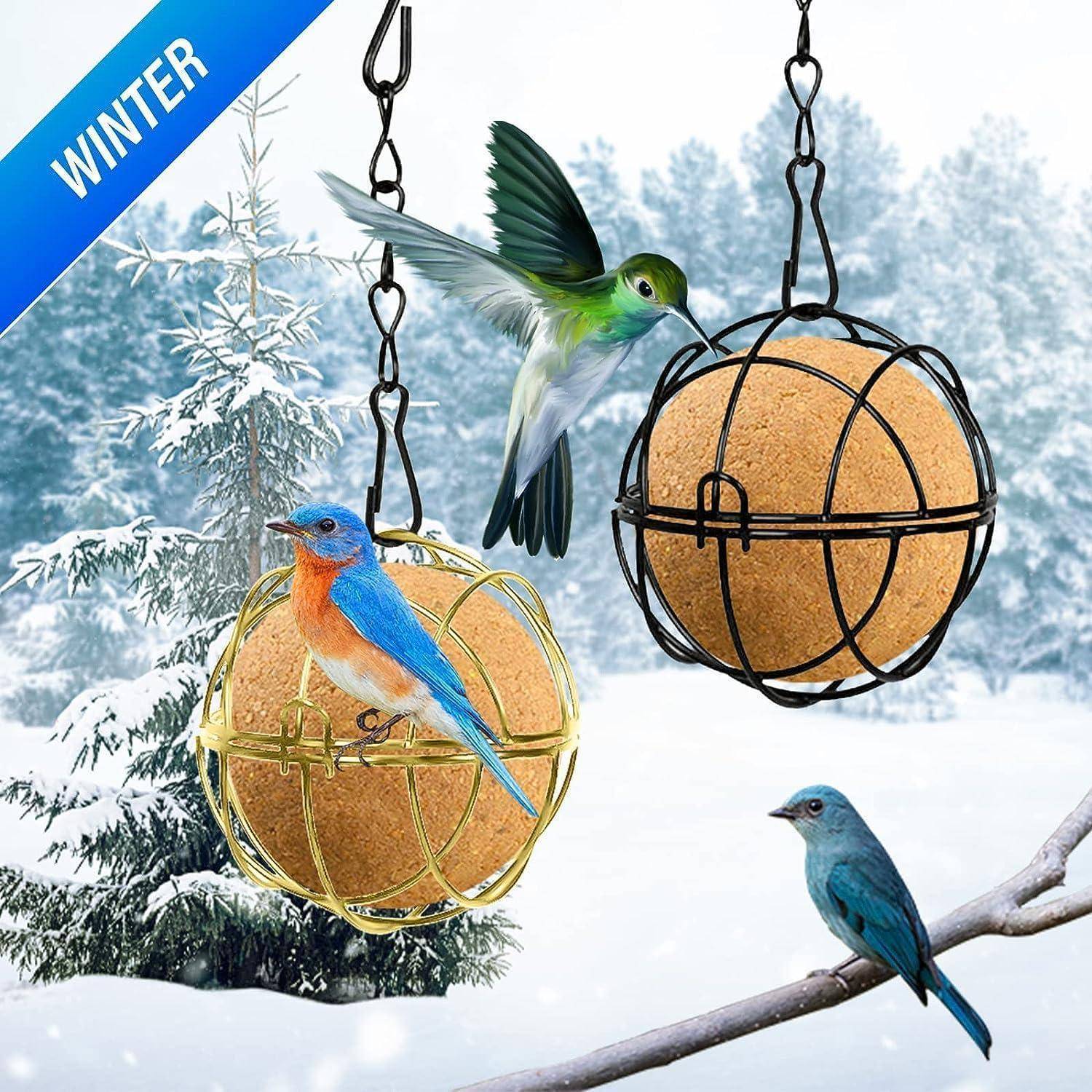 Eine verschneite Winterszene mit drei Vögeln um zwei hängende kugelförmige Futterstellen; ein grüner Kolibri füttert sich, während zwei blaue Vögel in der Nähe sitzen.