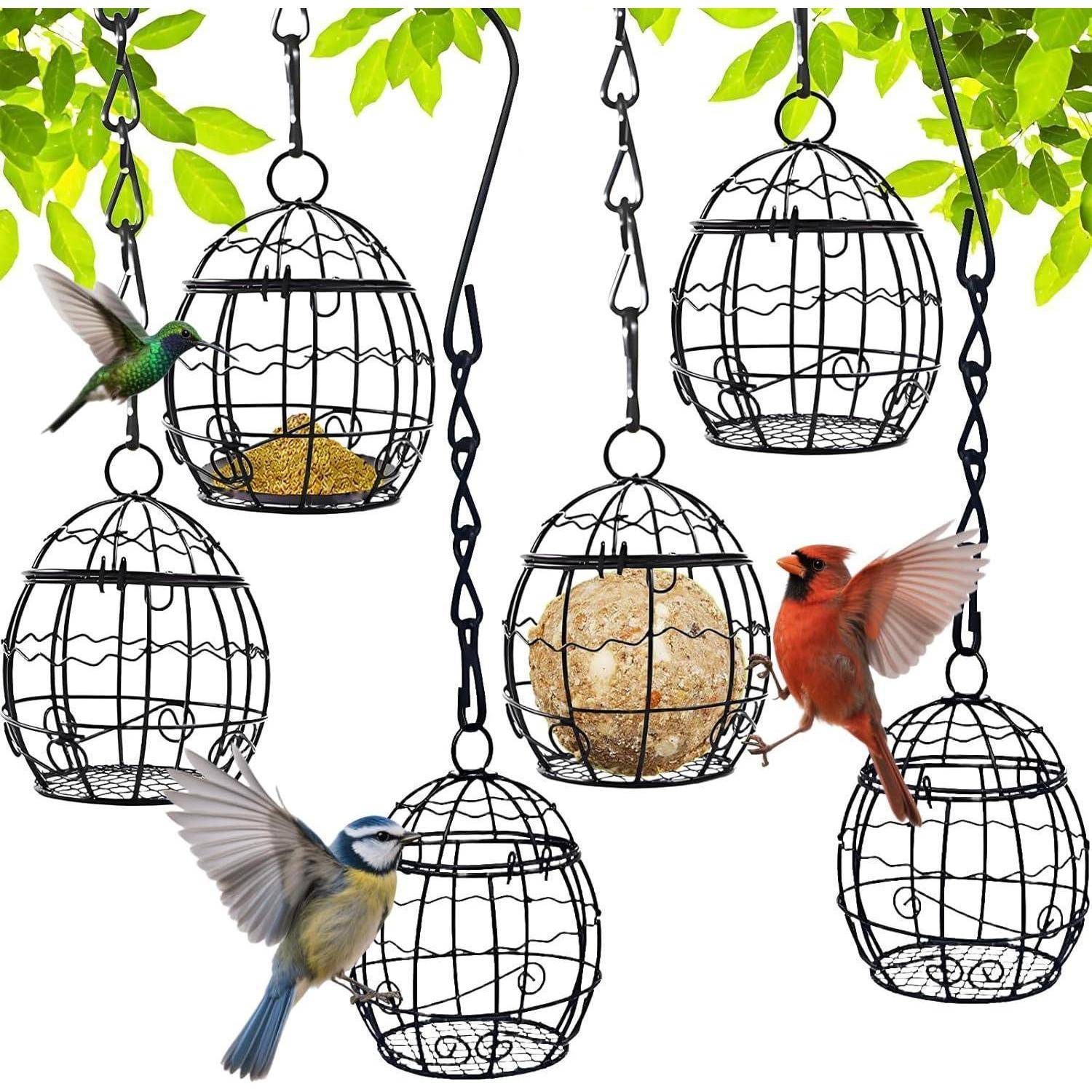 Eine Vielzahl von Vogelfutterautomaten hängt, wobei drei Vögel dort sitzen oder in der Nähe schweben: ein Kolibri, ein Kardinal und eine Blaumeise.