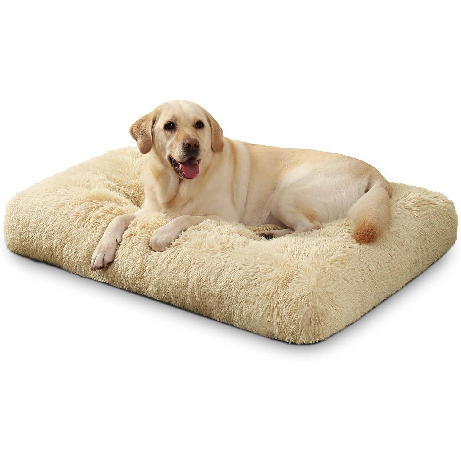 Ein Golden Retriever liegt auf einem großen, flauschigen beigen Hundebett und wirkt entspannt und zufrieden.