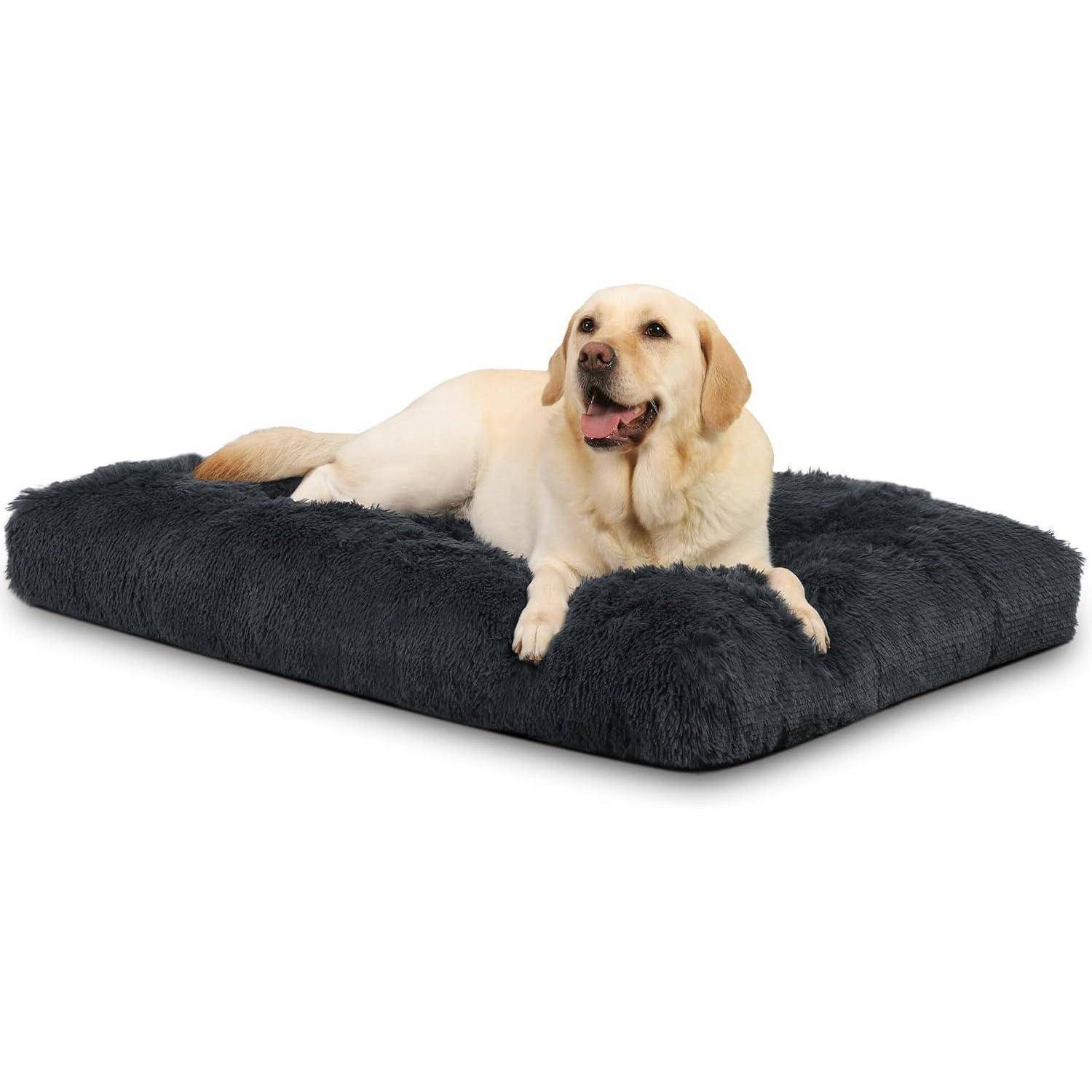 Ein Golden Retriever liegt ruhig auf einem flauschigen, dunkelgrauen Hundebett und wirkt entspannt und zufrieden.
