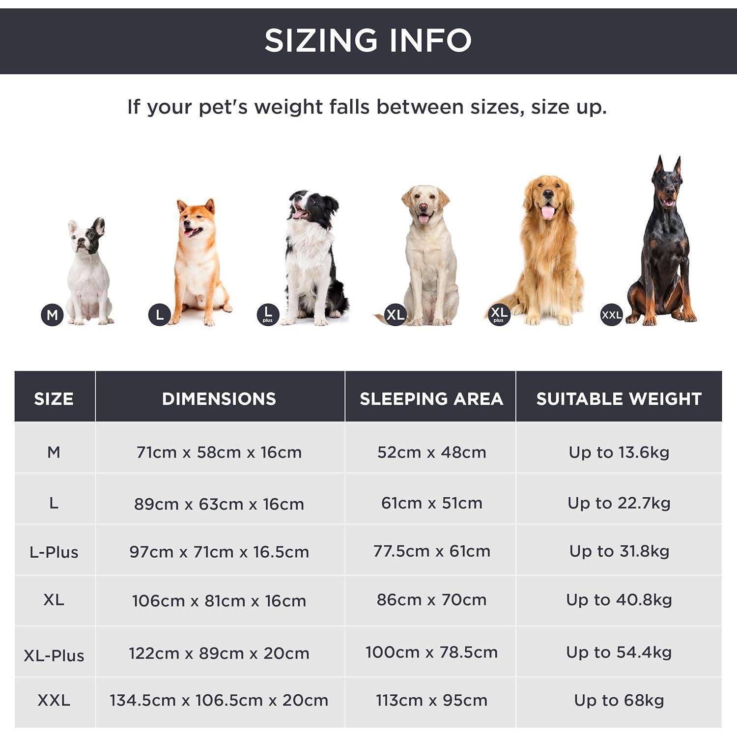 Größeninformationen' für Tierbetten: Größen M bis XXL mit Hund-Illustrationen dargestellt. Tabelle listet Bettdimensionen, Schlafbereich und Gewicht für jede Größe auf.