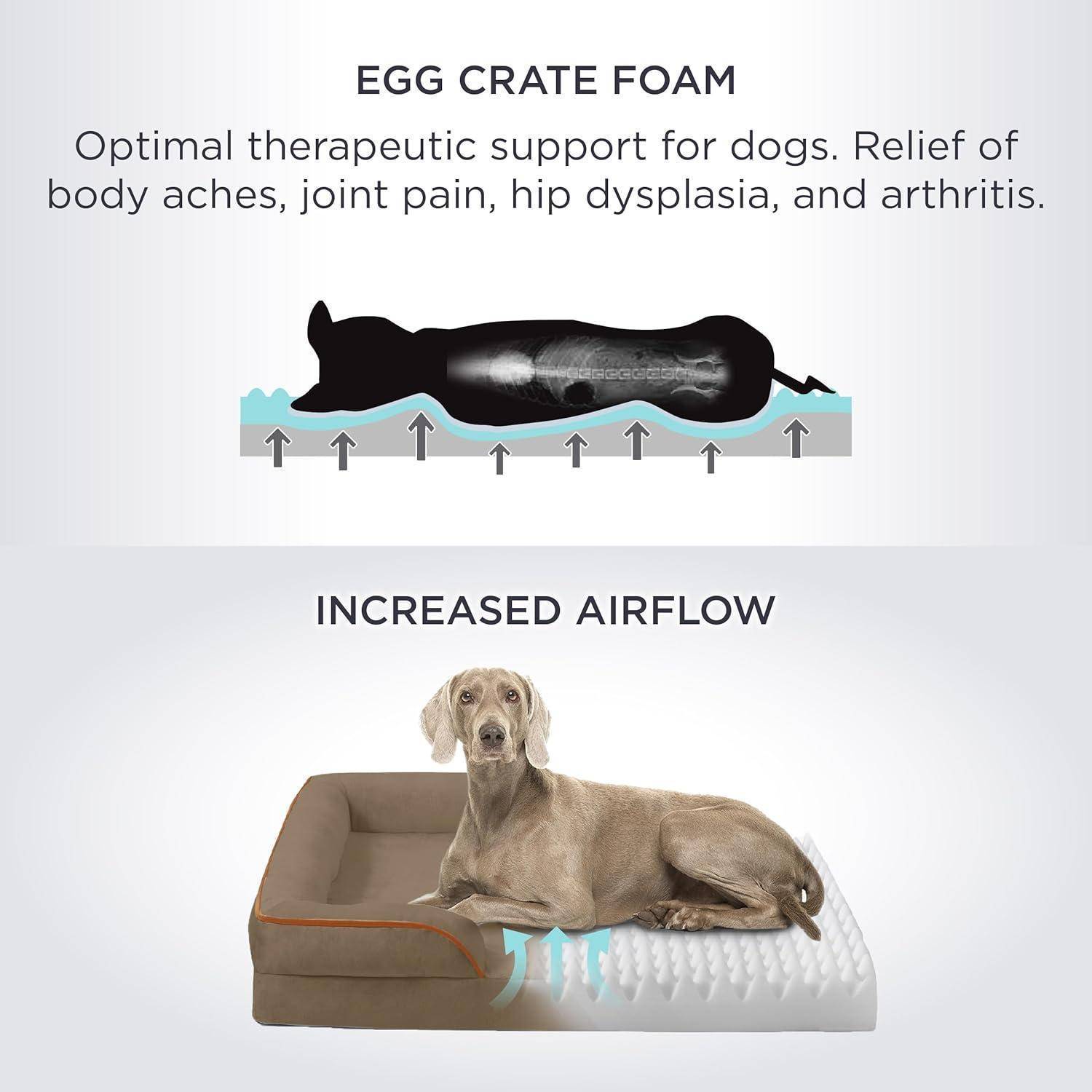 EIERKARTON-SCHAUMSTOFF: Optimale therapeutische Unterstützung für Hunde. Linderung von Körperschmerzen, Gelenkschmerzen, Hüftdysplasie und Arthritis.' Bild zeigt Eierkarton-Schaumstoff, der einen Hund stützt und verbesserte Luftzirkulation hervorhebt.