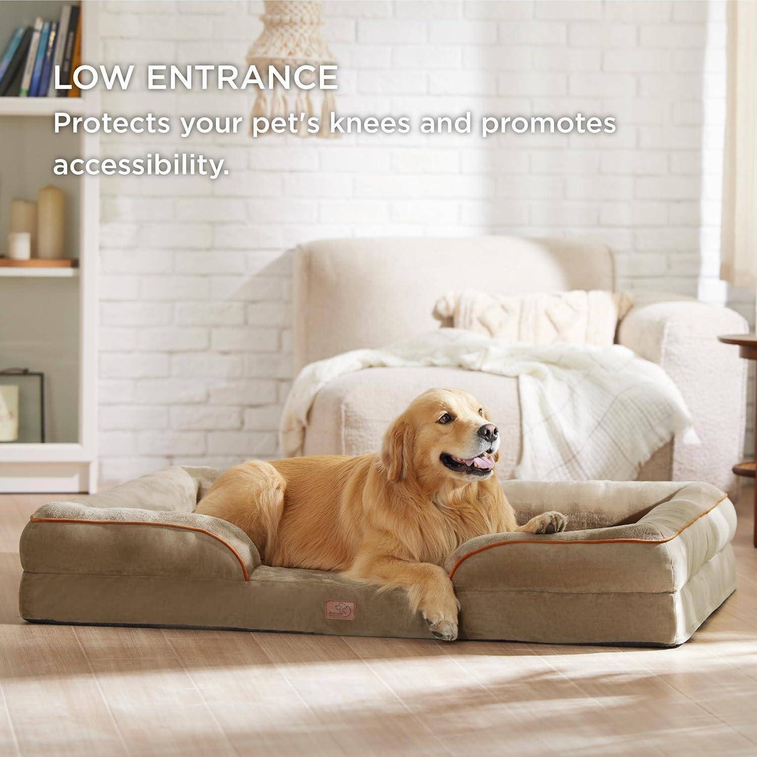 Ein Golden Retriever liegt gemütlich auf einem niedrigen Hundebett in einem gemütlichen Raum. Text lautet: ‚Niedriger Eingang: Schützt die Knie Ihres Haustieres und fördert die Zugänglichkeit.