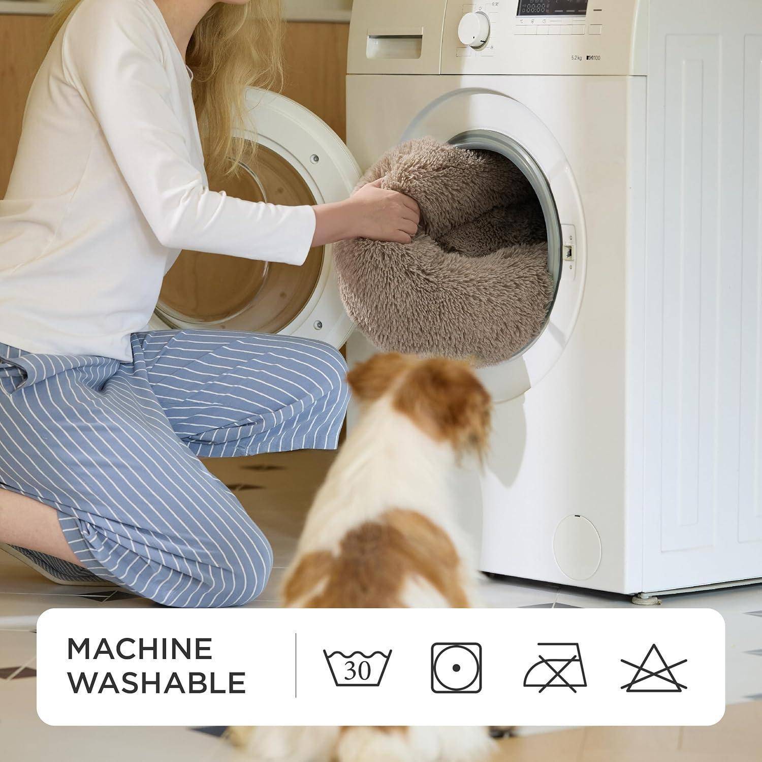 Eine Person legt einen flauschigen Teppich in eine Waschmaschine, während ein Hund zuschaut. Wäschesymbole zeigen „Maschinenwäsche