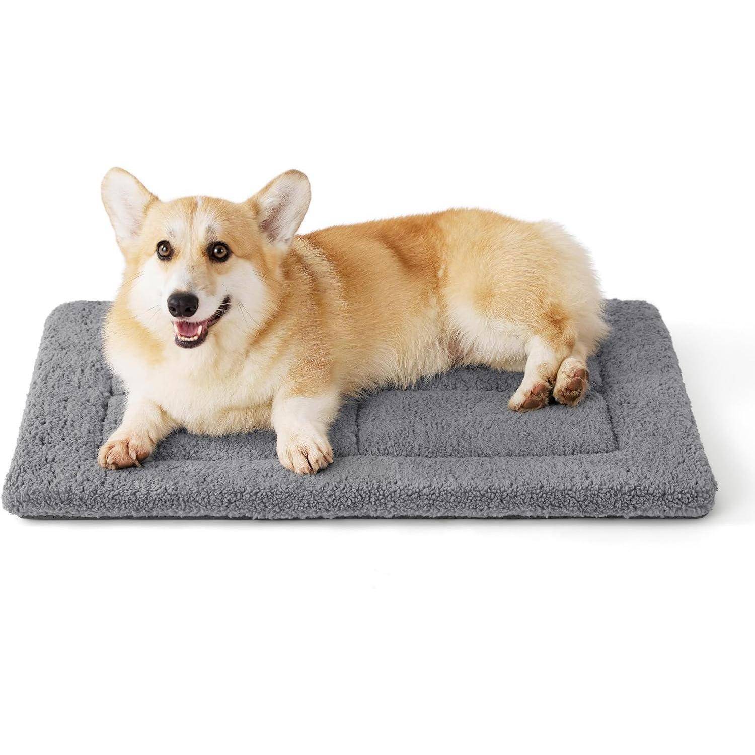 Ein Corgi liegt auf einer weichen, grauen Tierunterlage und sieht entspannt und zufrieden aus.
