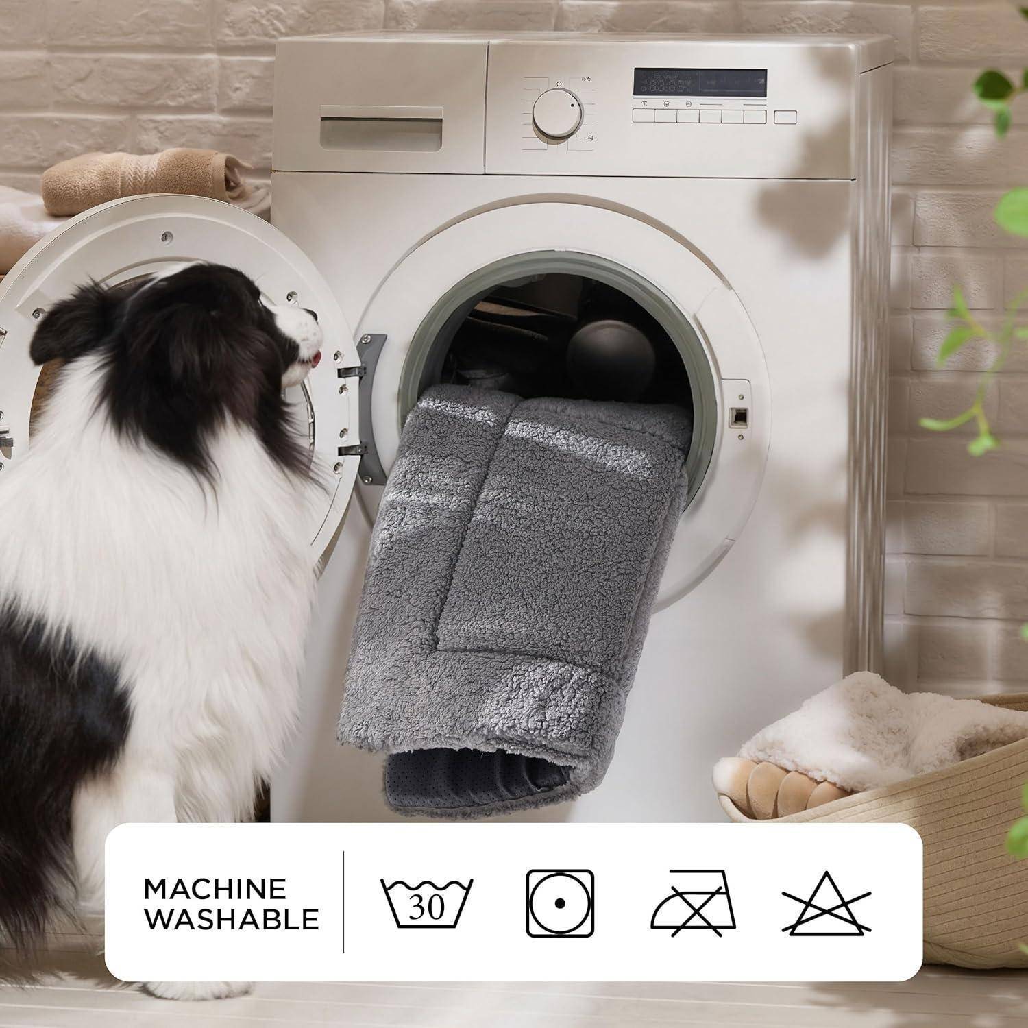 Ein Hund sitzt neben einer Waschmaschine mit einer Decke im Inneren, was darauf hindeutet, dass die Decke maschinell waschbar ist. Symbole zeigen Waschhinweise an.