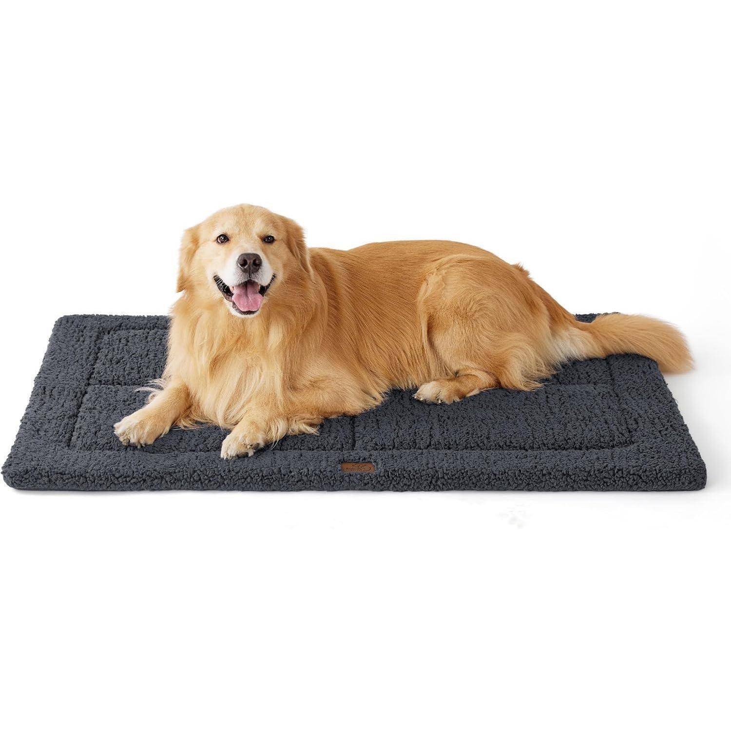 Ein Golden Retriever liegt gemütlich auf einer dunkelgrauen Tierunterlage und blickt direkt in die Kamera mit einem entspannten und fröhlichen Gesichtsausdruck.
