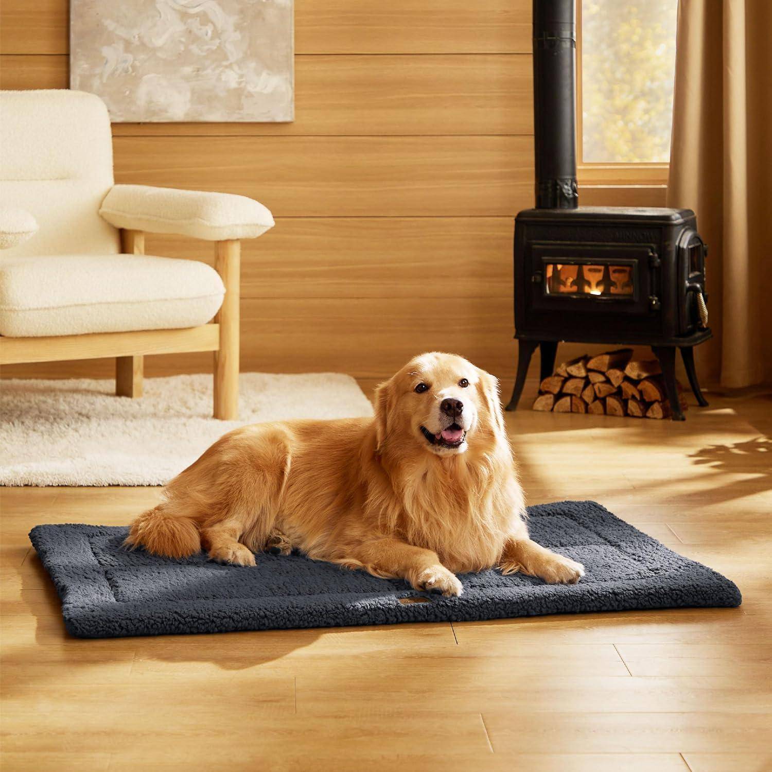 Ein Golden Retriever liegt auf einem Teppich in einem gemütlichen Wohnzimmer mit einem beigen Sessel und einem schwarzen Holzofen vor einer Holzvertäfelung.
