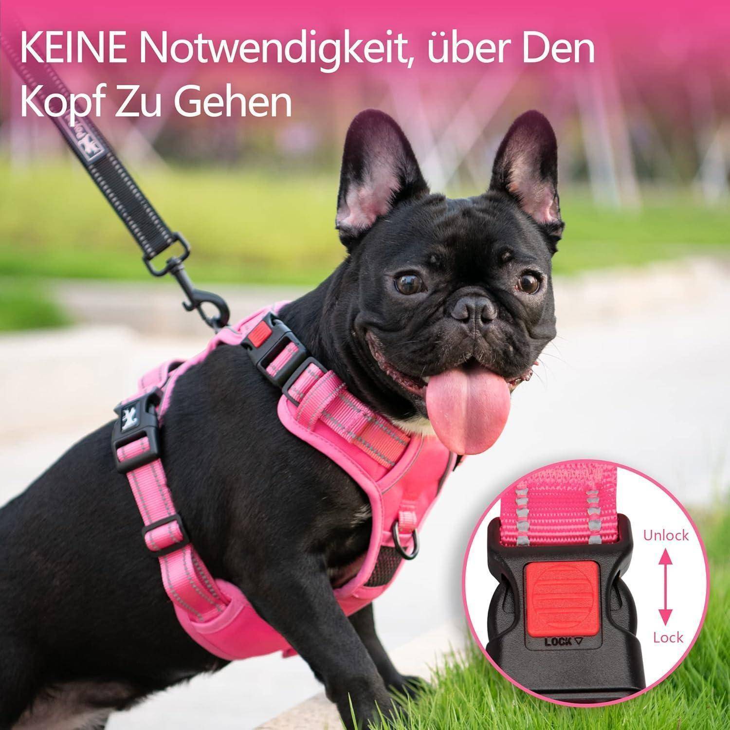 Ein schwarzer Hund mit rosa Geschirr und Leine ist zu sehen. Eingeblendetes Bild hebt einen Verschlusshaken hervor. Text lautet: 'KEIN Grund, sich den Kopf zu zerbrechen.