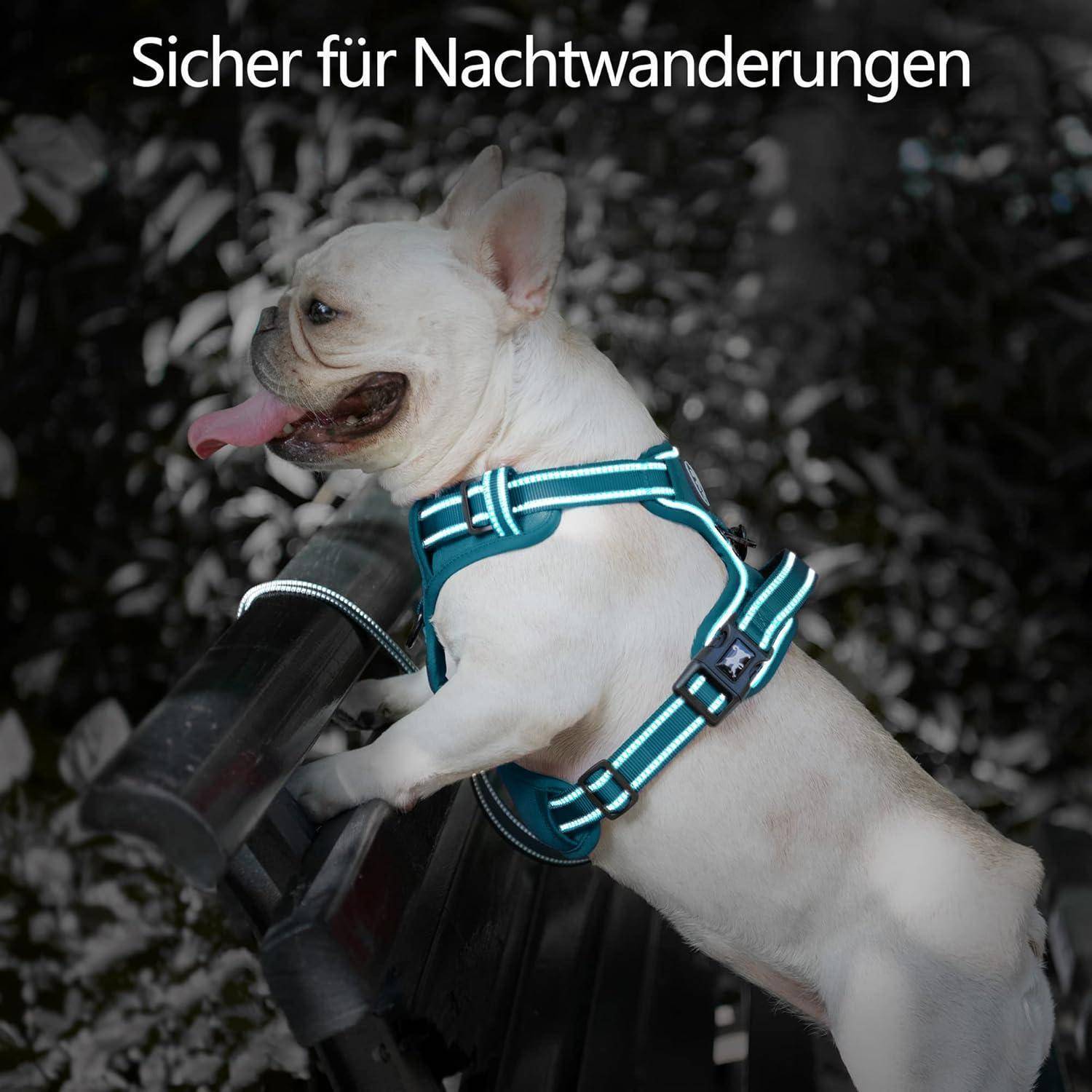 Ein kleiner Hund mit einer reflektierenden Warnweste, der auf einer Bank sitzt, mit dem Text 