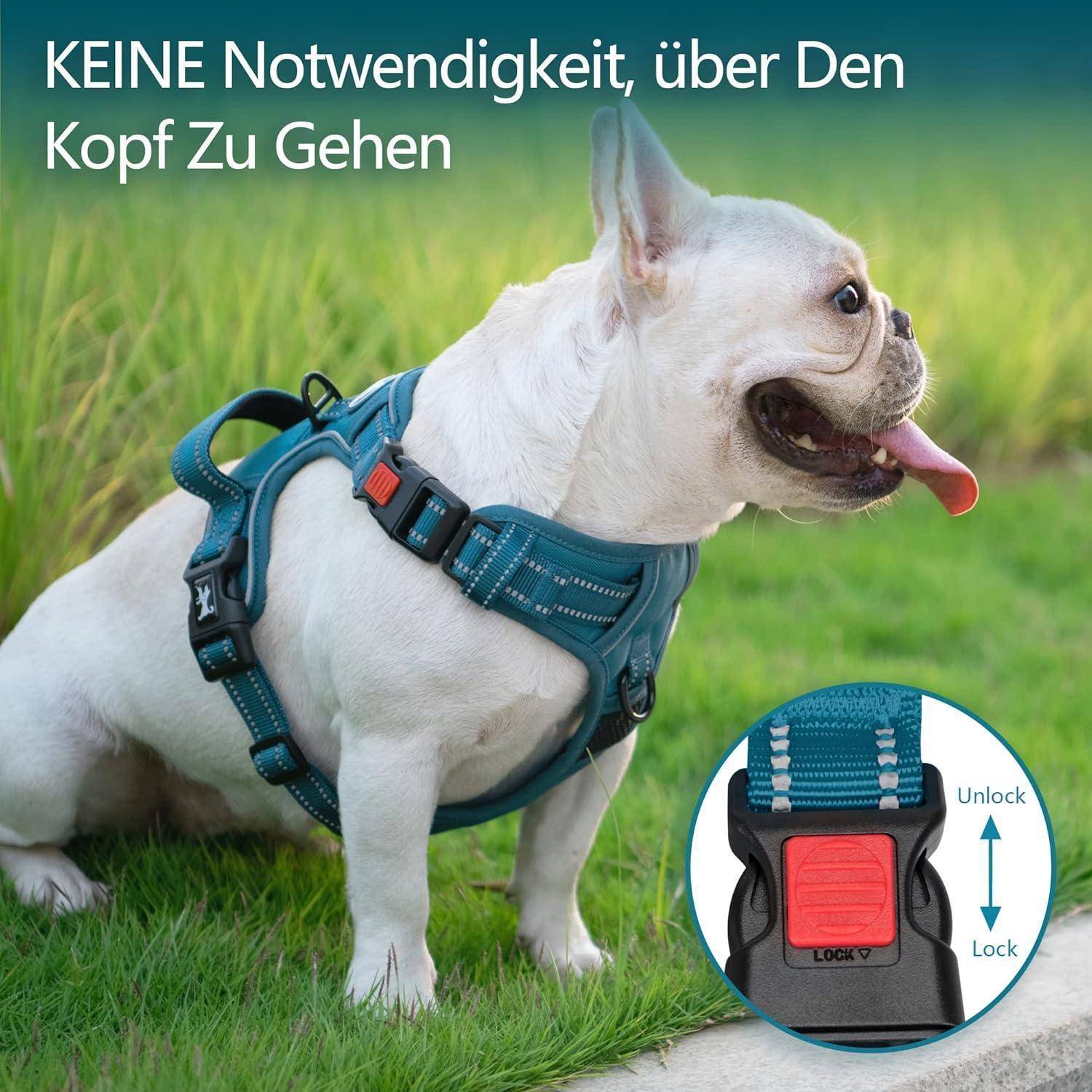 Ein weißer Hund mit blauem Geschirr sitzt auf Gras. Das Bild hebt eine Geschirr-Clip-Funktion hervor mit dem Text, „KEINE Notwendigkeit, über Den Kopf Zu Gehen