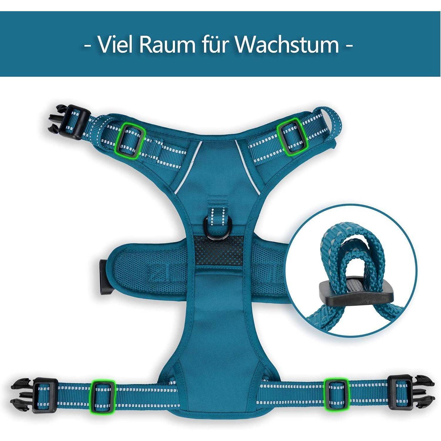 Hundegeschirr mit verstellbaren Riemen, in Grün hervorgehoben, und eine Nahaufnahme der robusten Nähte. Banner zeigt 'Viel Raum für Wachstum'.