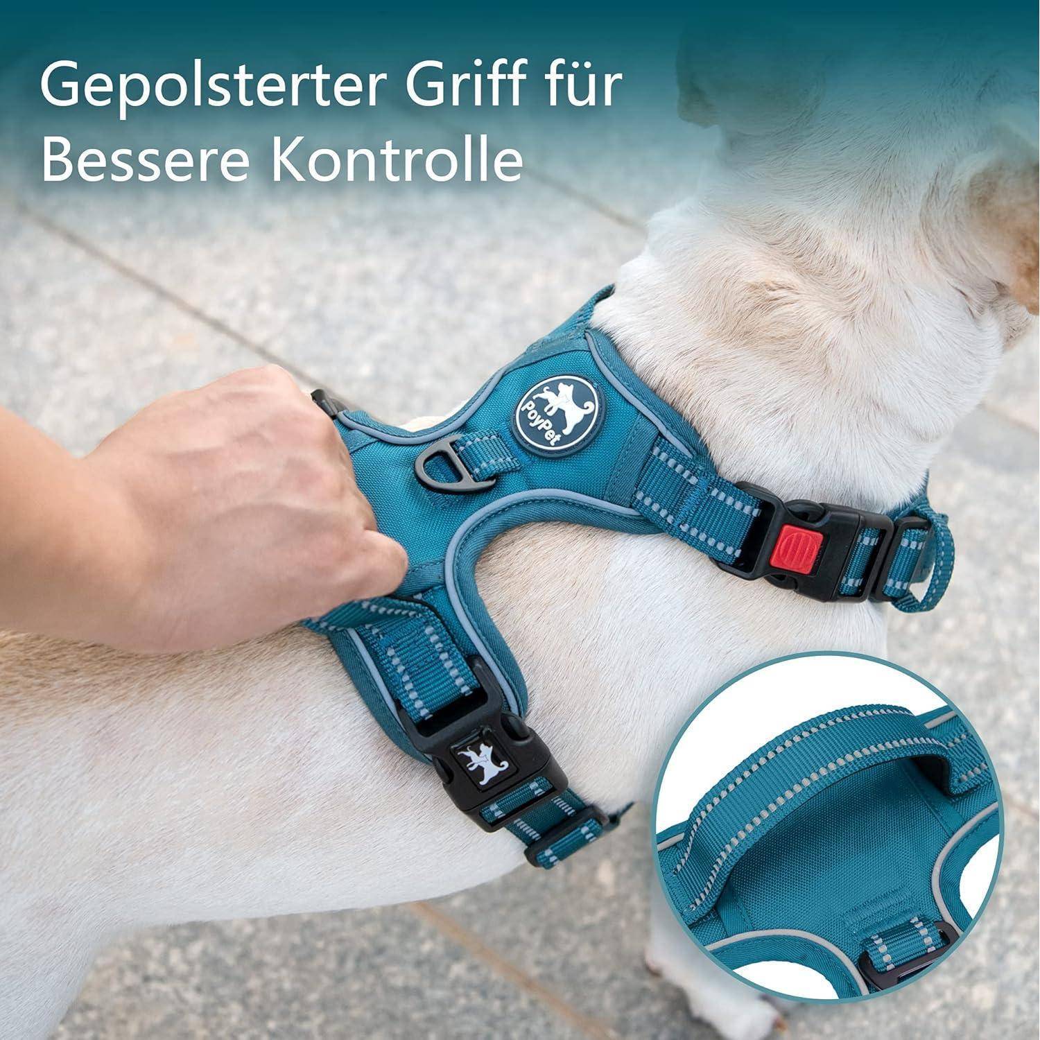 Eine Person passt ein blaues gepolstertes Hundegeschirr an einem hellhaarigen Hund an. Detailausschnitt hebt die Naht des Geschirrs hervor. Deutscher Text lautet: 