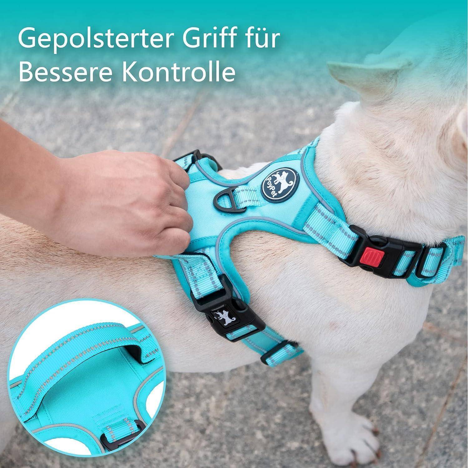 Ein Hund, der ein hellblaues Geschirr mit gepolstertem Griff trägt. Der Text lautet 'Gepolsterter Griff für bessere Kontrolle', was eine verbesserte Kontrolle betont.