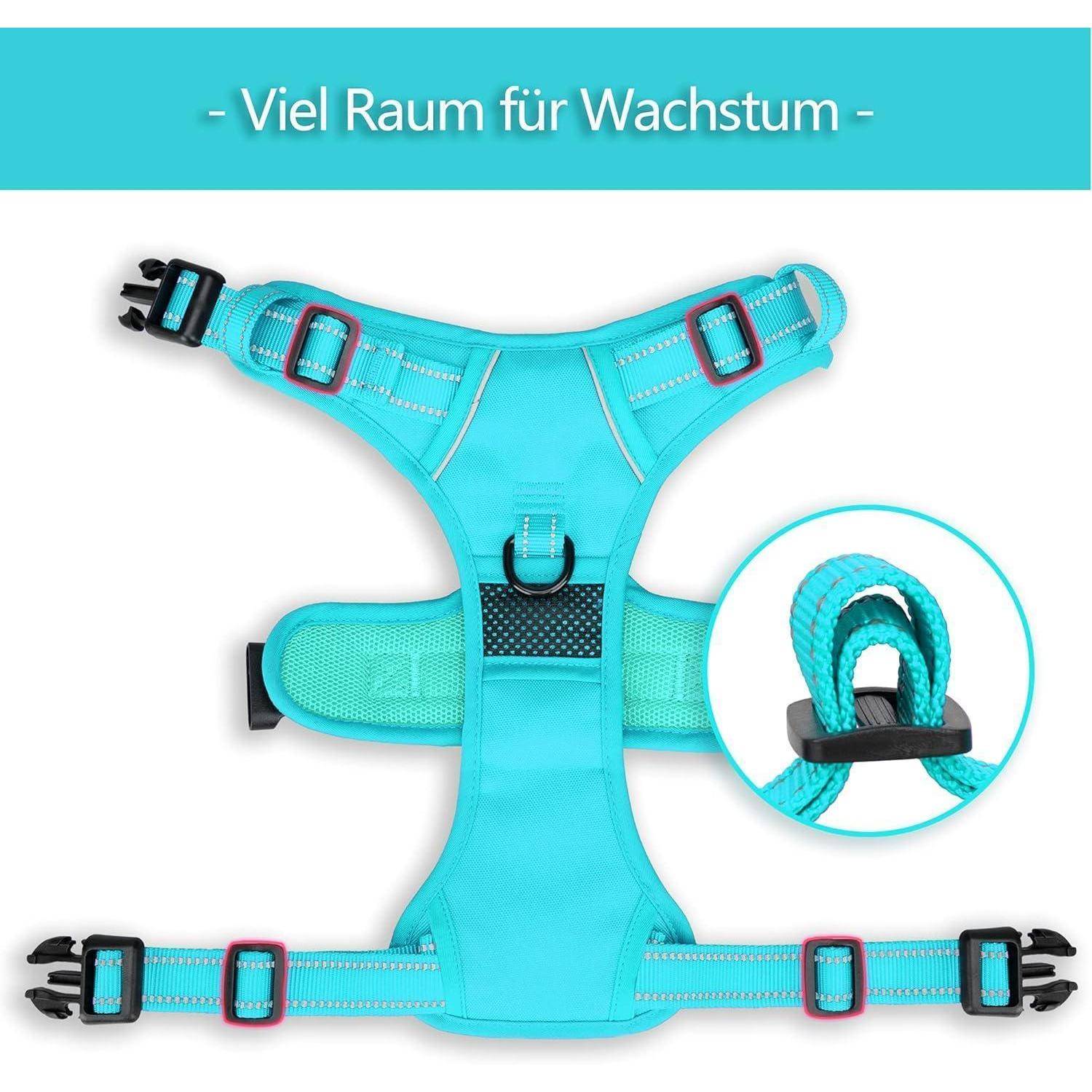 Ein blauer verstellbarer Geschirr mit einem schwarzen Clip- und Schnallensystem, mit deutschem Text 'Viel Raum für Wachstum' der Wachstumsmöglichkeiten andeutet.